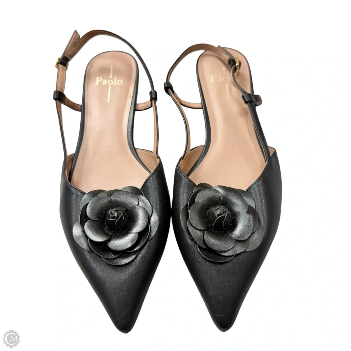 Shoes Flats By Linea Paolo In Black, Size: 10
