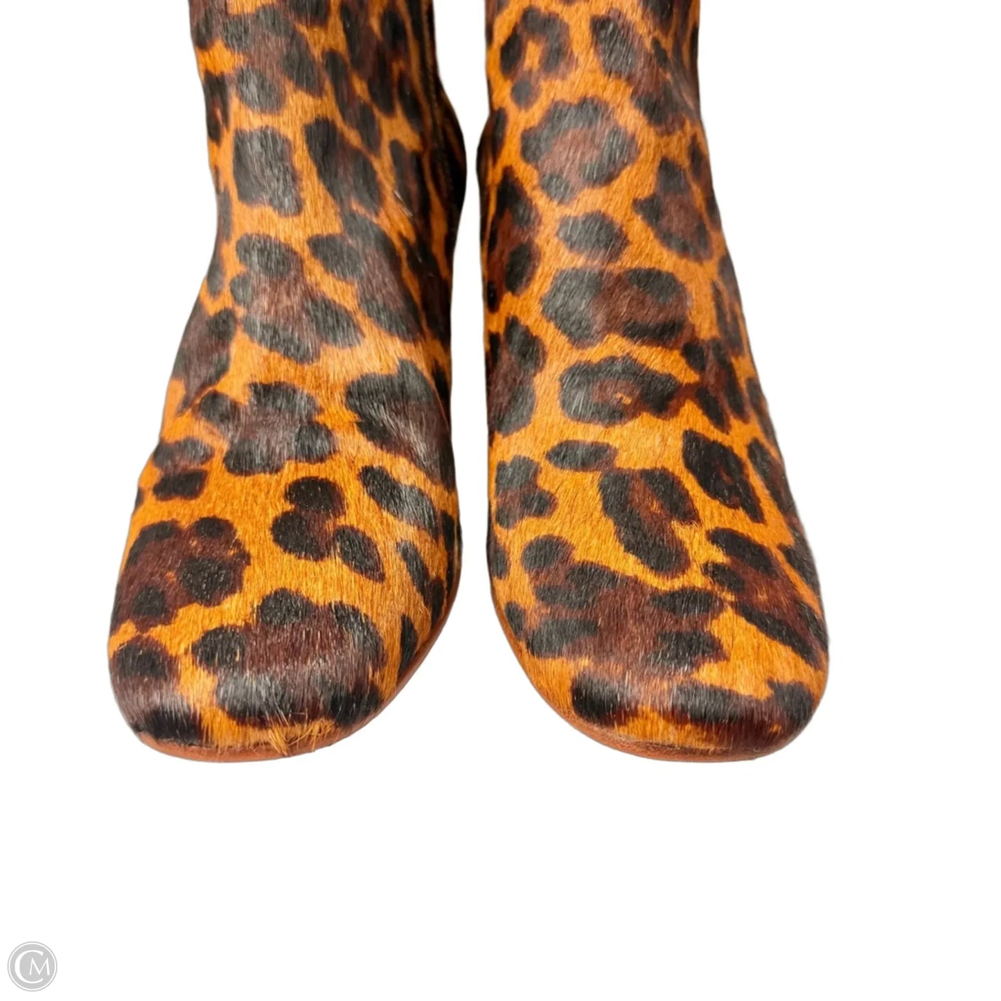 Shoes Heels Block By Bernardo In Animal Print, Size: 7