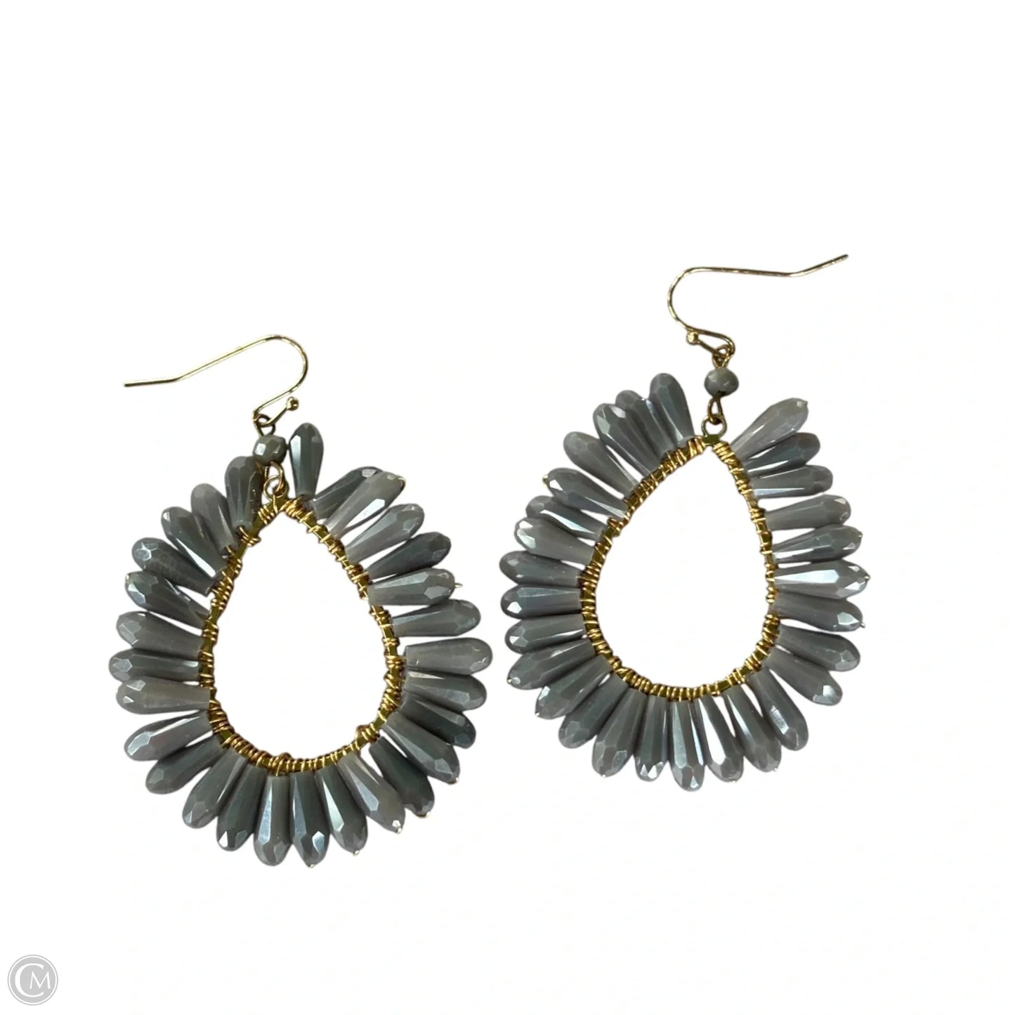 Earrings Statement