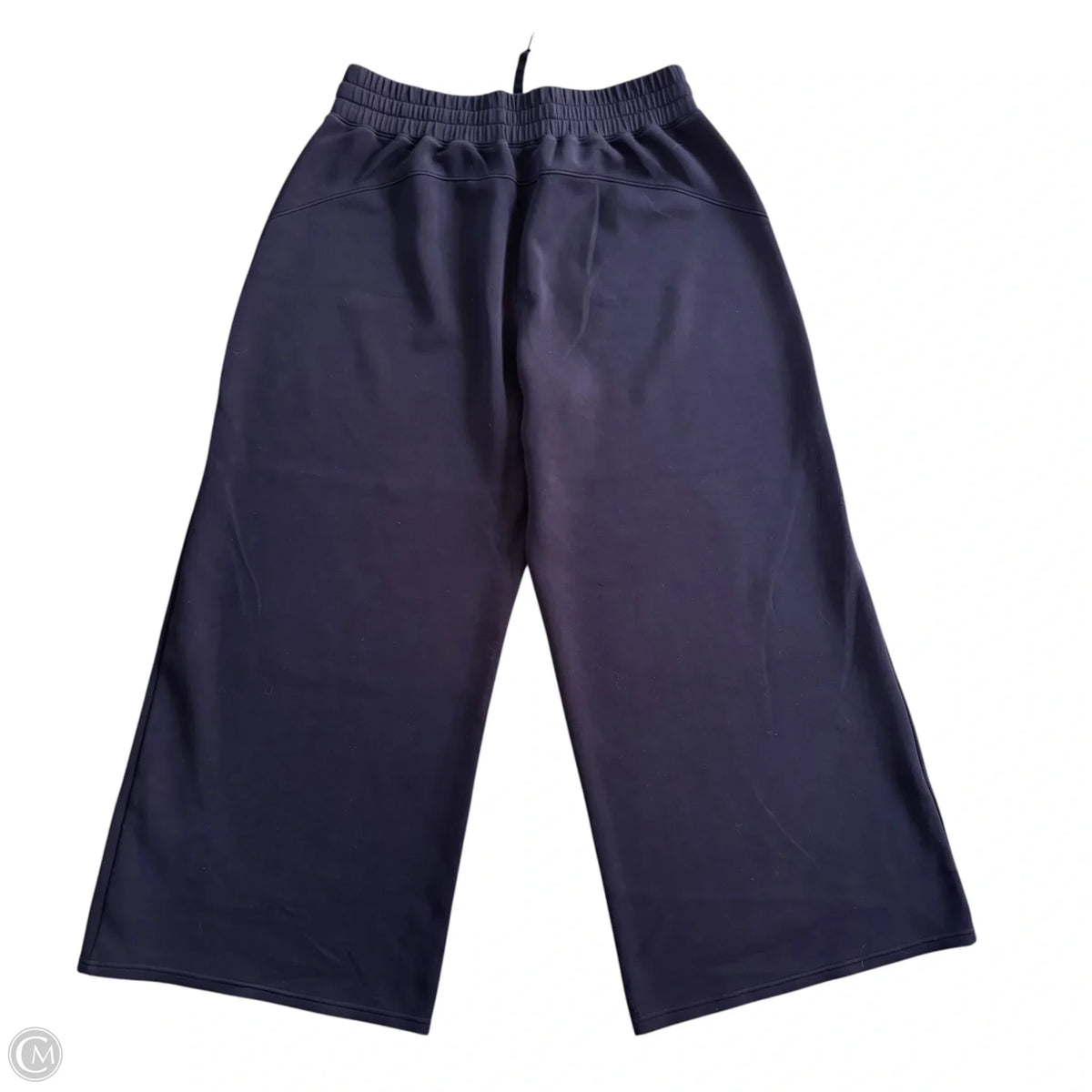 Athletic Pants By Spanx In Blue, Size: 1x