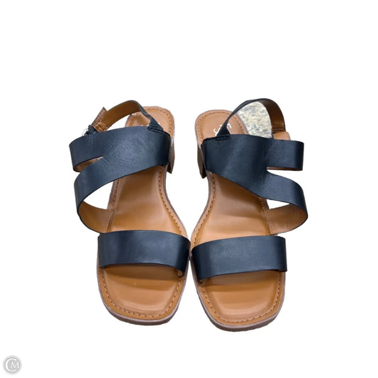Sandals Heels Block By Franco Sarto In Black, Size: 8