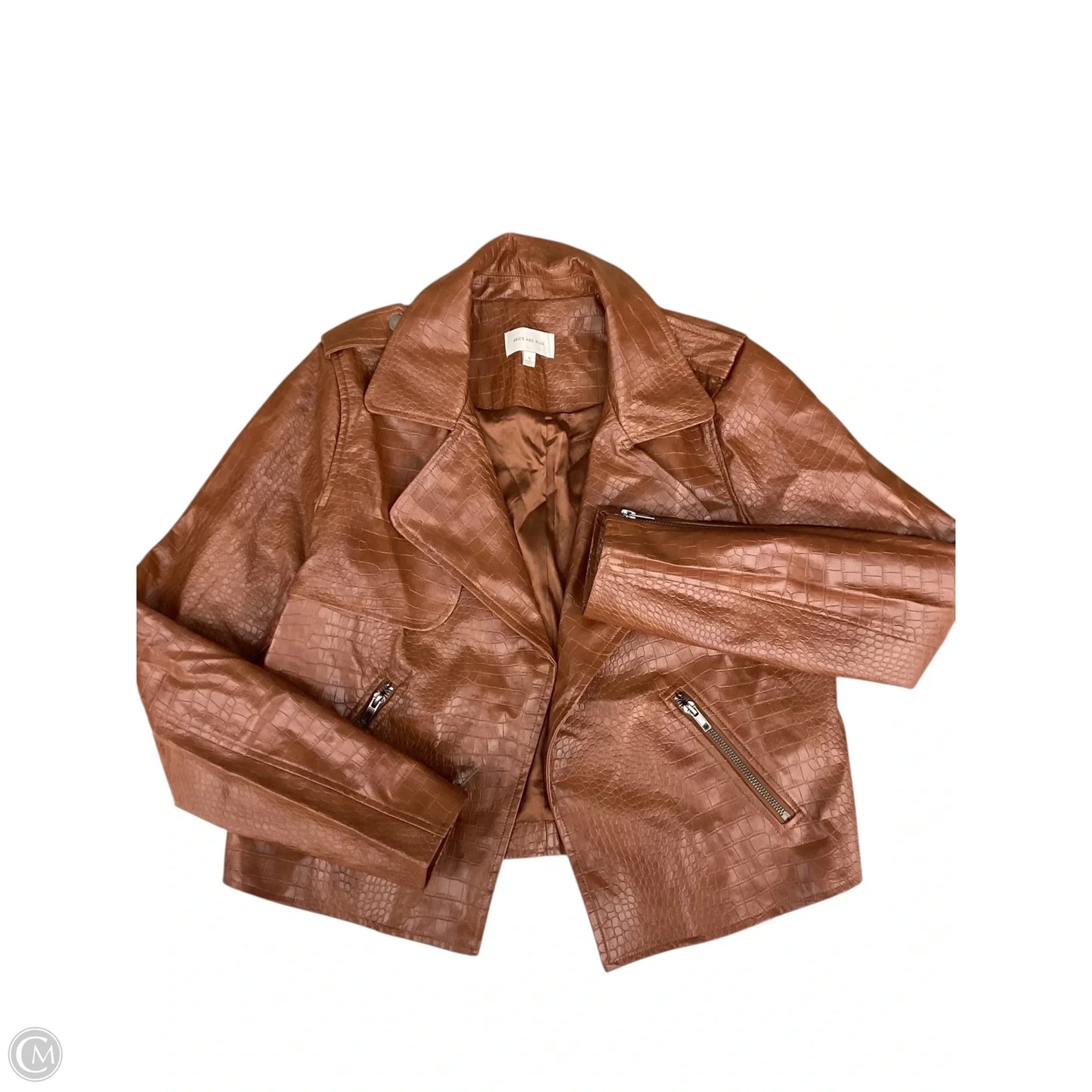 Jacket Moto By Skies Are Blue In Tan, Size: M