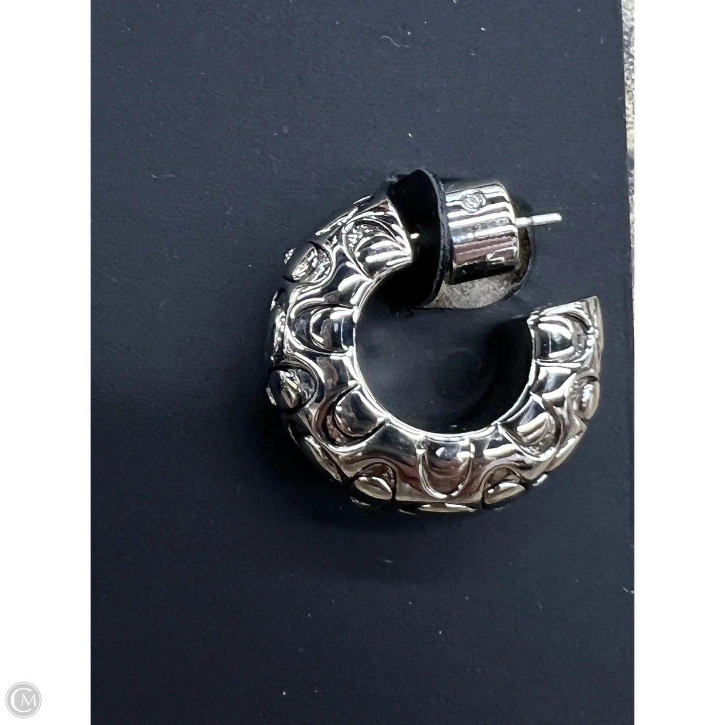 Earrings Designer By Coach