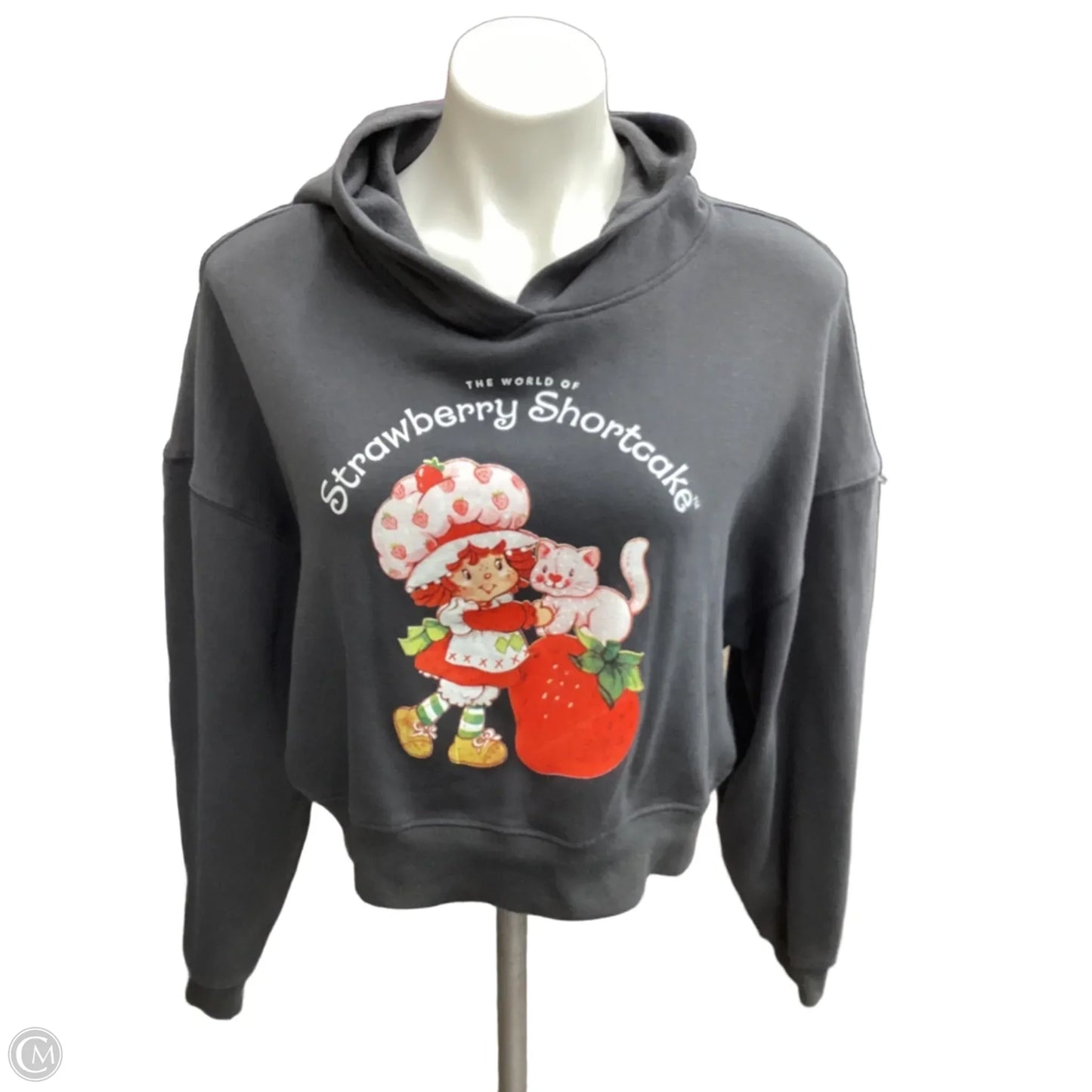 Sweatshirt Hoodie By Clothes Mentor In Grey, Size: M