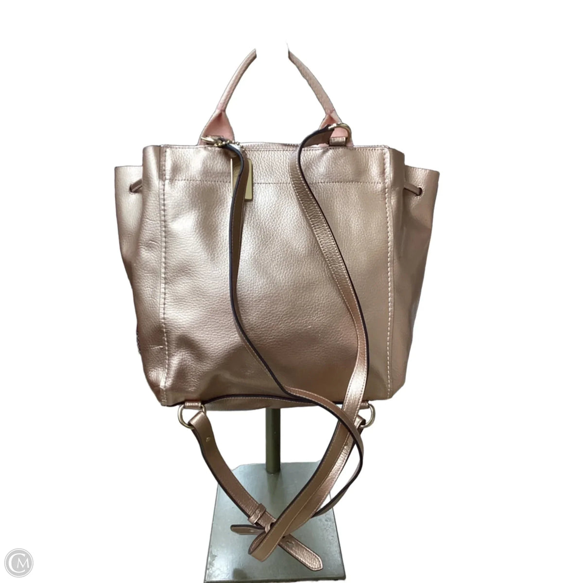 Backpack Designer By Coach, Size: Medium