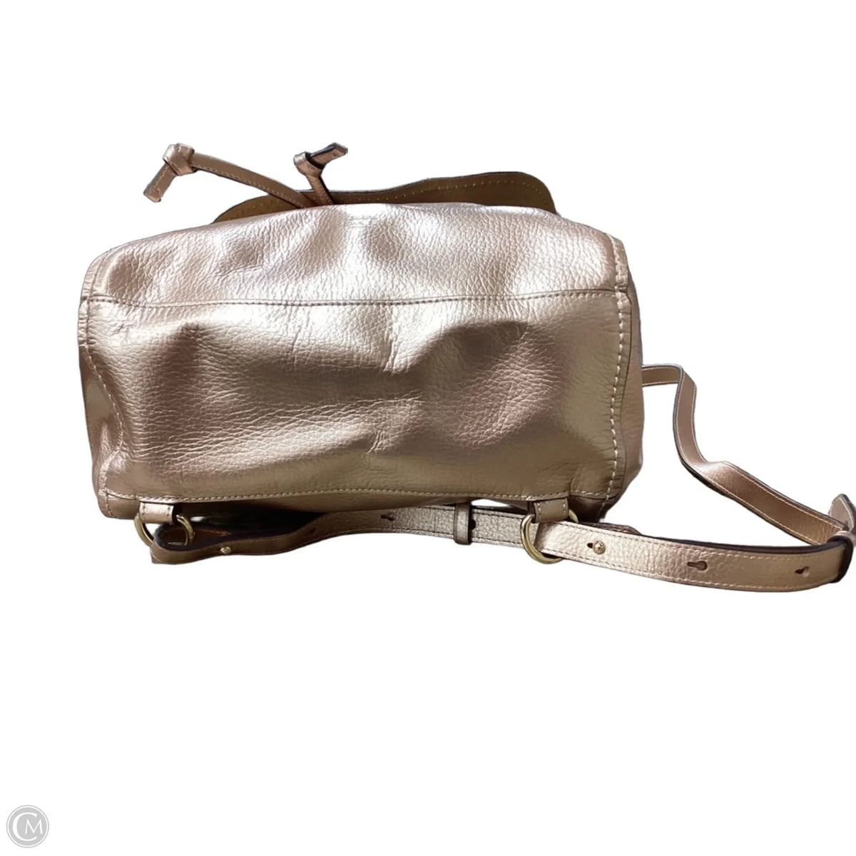 Backpack Designer By Coach, Size: Medium