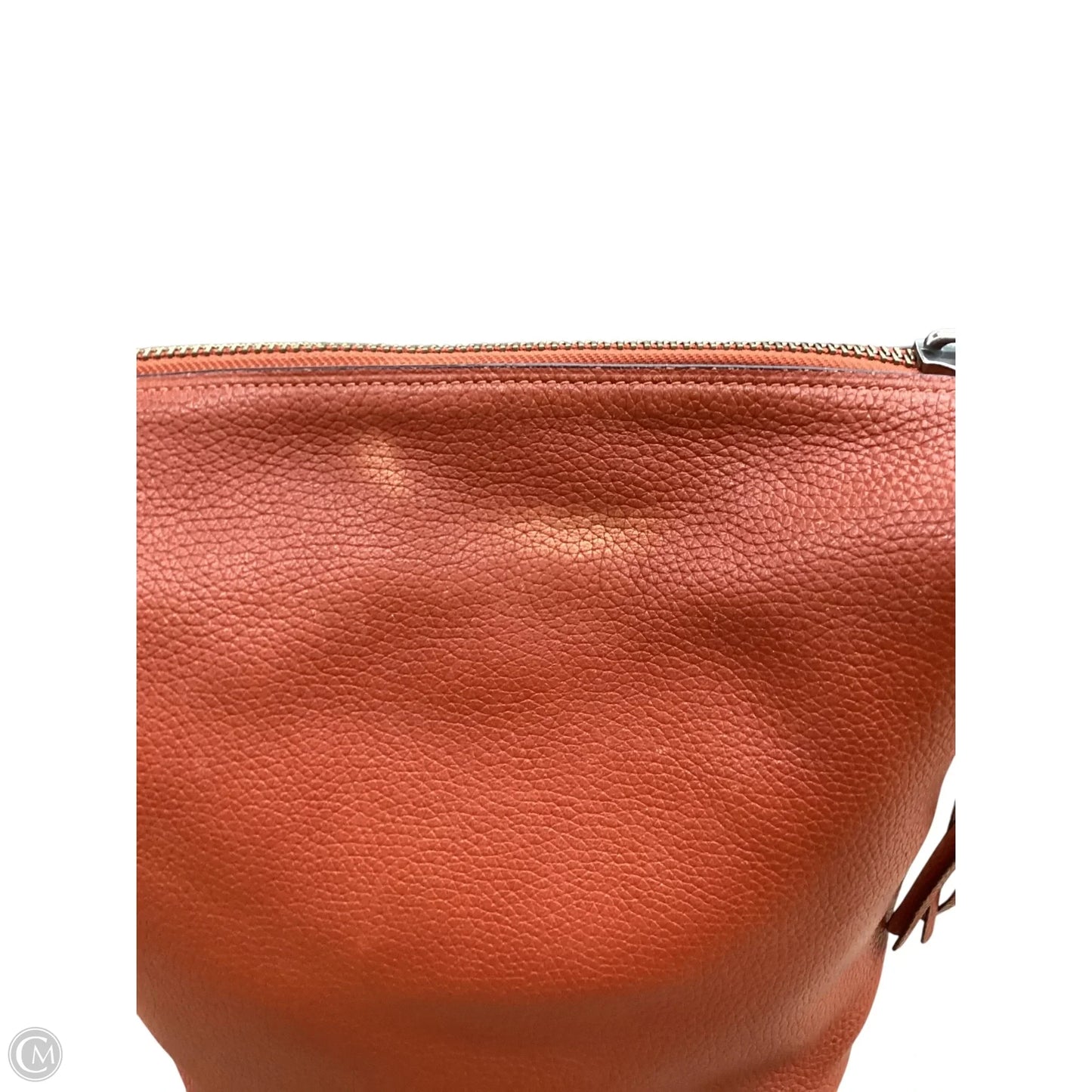 Crossbody Designer By Coach, Size: Large