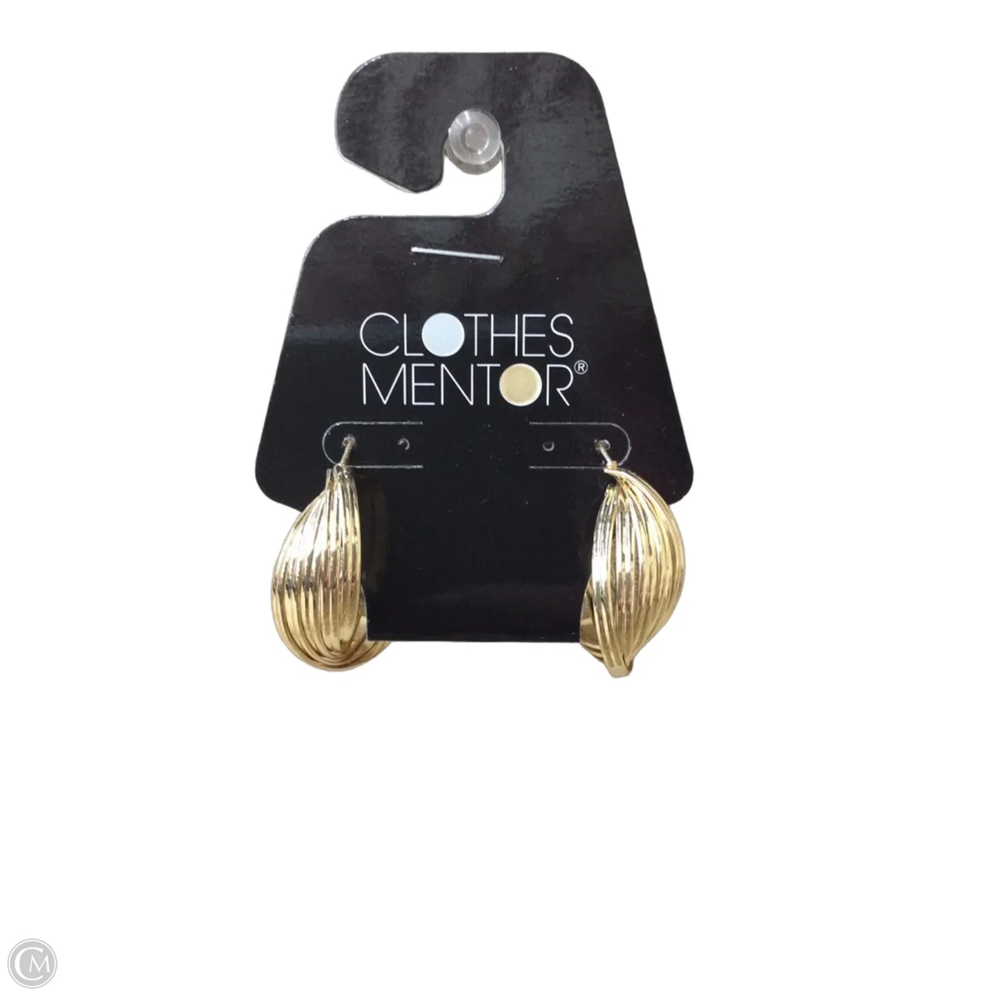 Earrings Hoop By Clothes Mentor