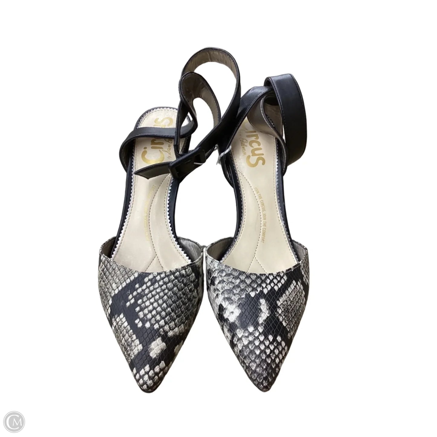 Shoes Heels Stiletto By Circus By Sam Edelman In Snakeskin Print, Size: 10