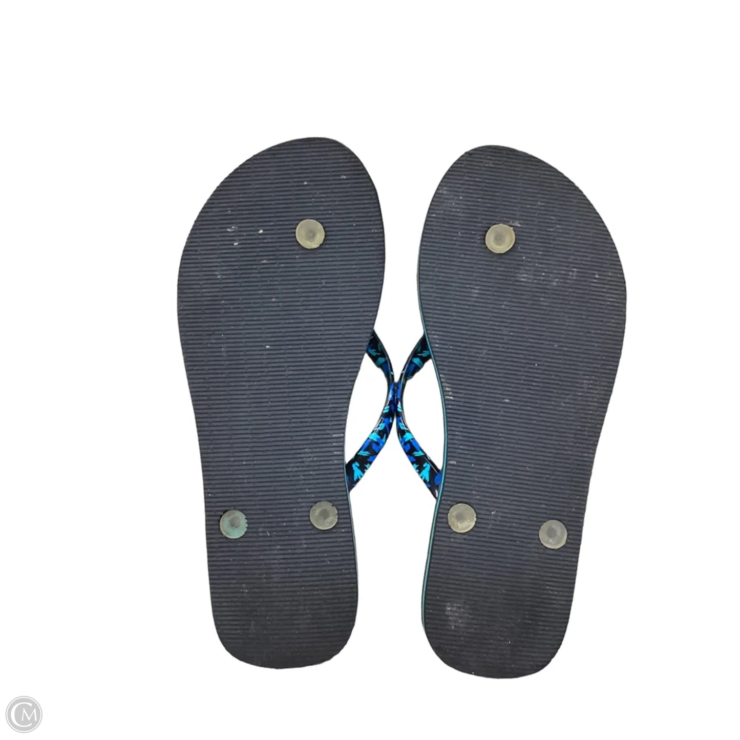 Sandals Flip Flops By Vera Bradley In Floral Print, Size: 8
