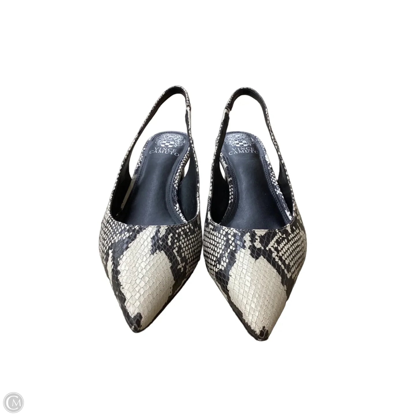 Shoes Heels Kitten By Vince Camuto In Snakeskin Print, Size: 9.5