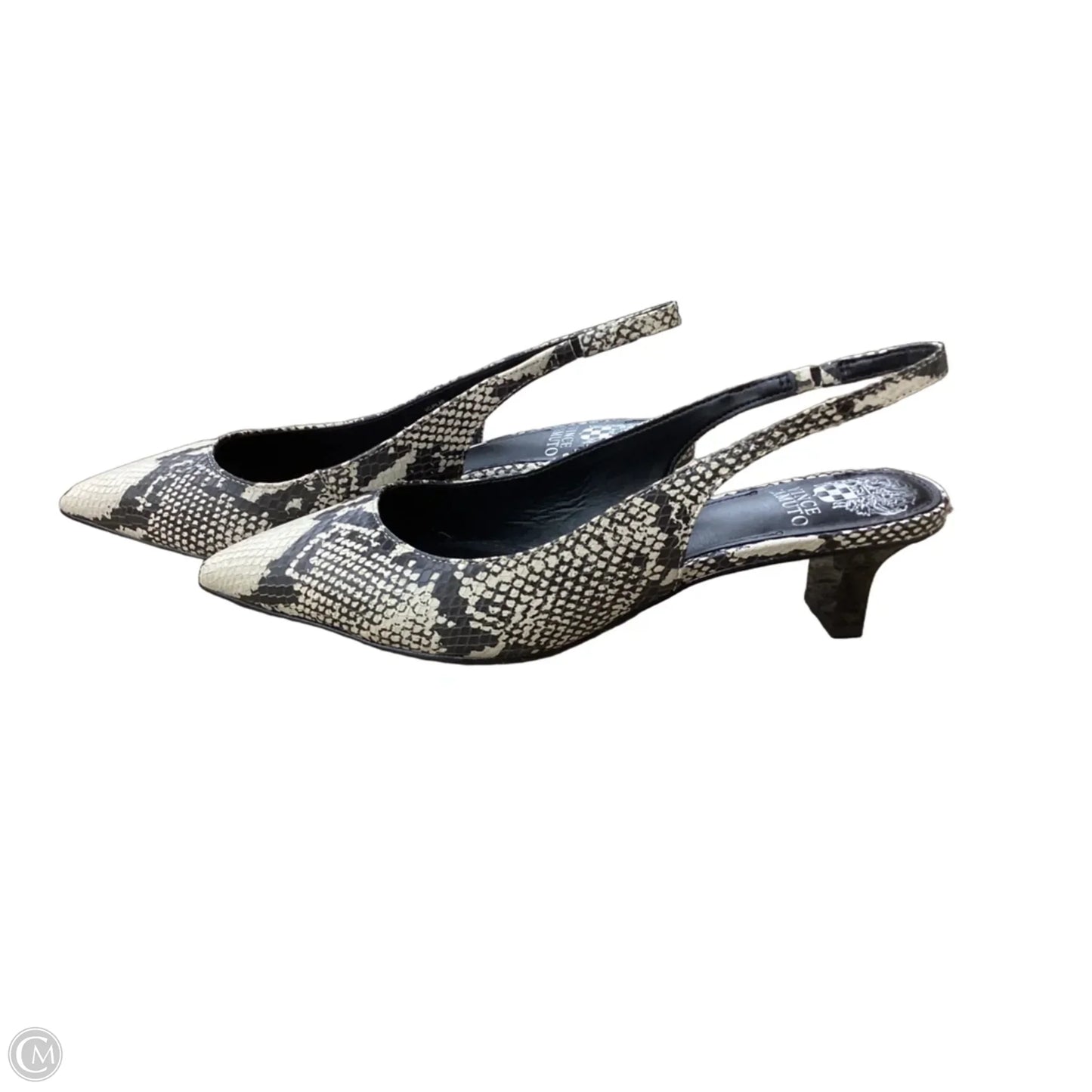 Shoes Heels Kitten By Vince Camuto In Snakeskin Print, Size: 9.5