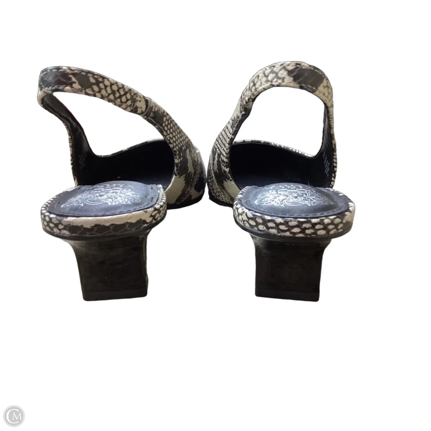 Shoes Heels Kitten By Vince Camuto In Snakeskin Print, Size: 9.5