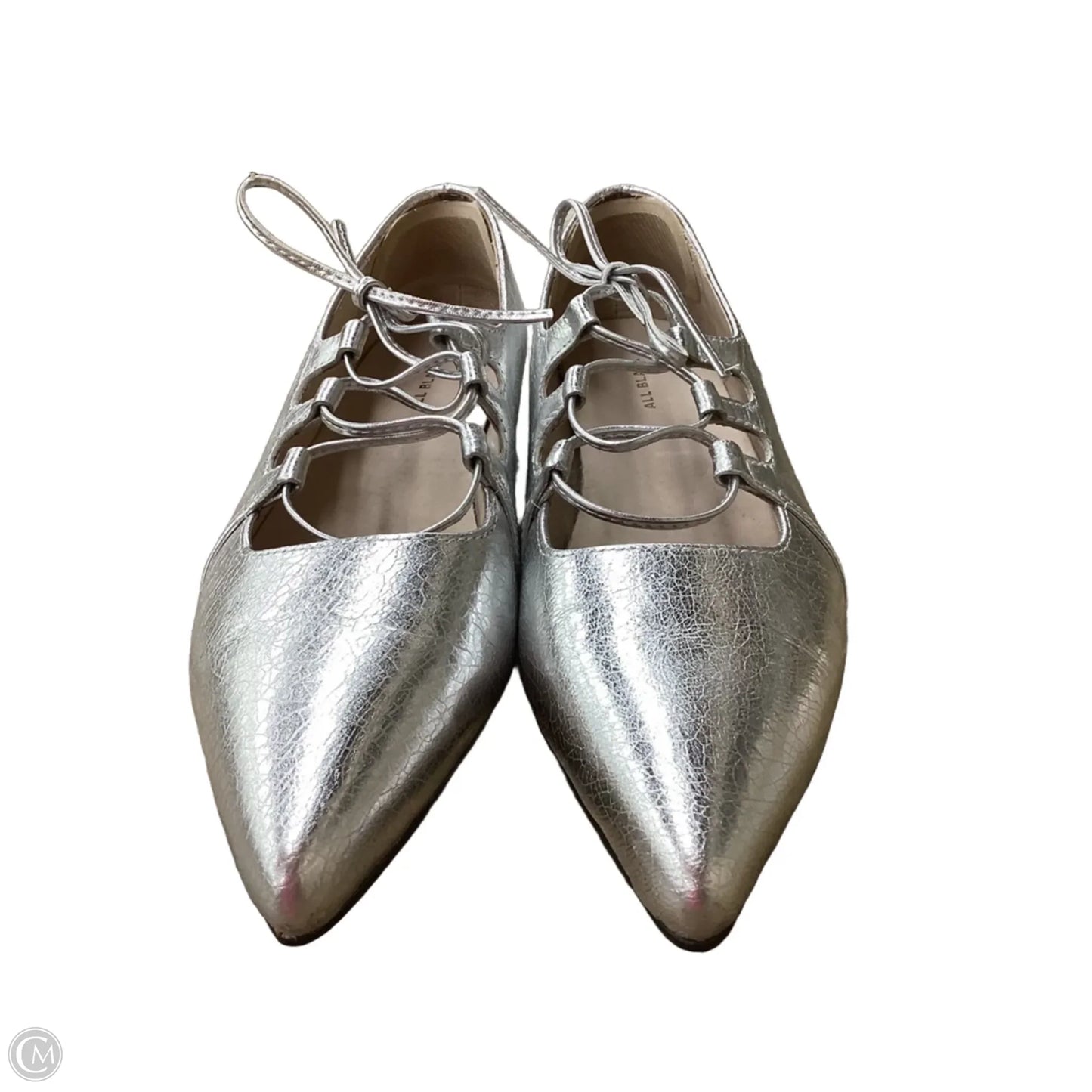 Shoes Flats By Clothes Mentor In Silver, Size: 8.5
