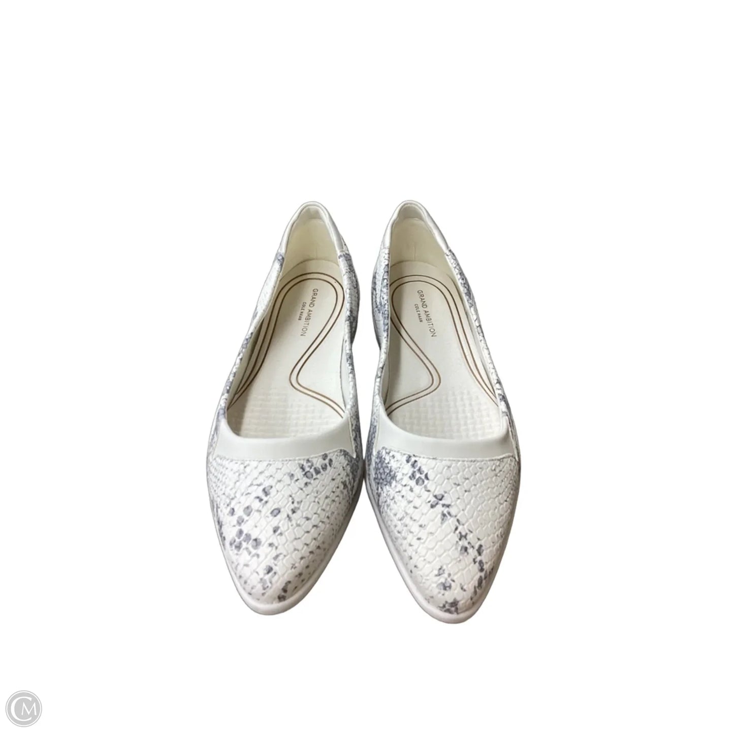 Shoes Flats By Cole-haan In Snakeskin Print, Size: 8