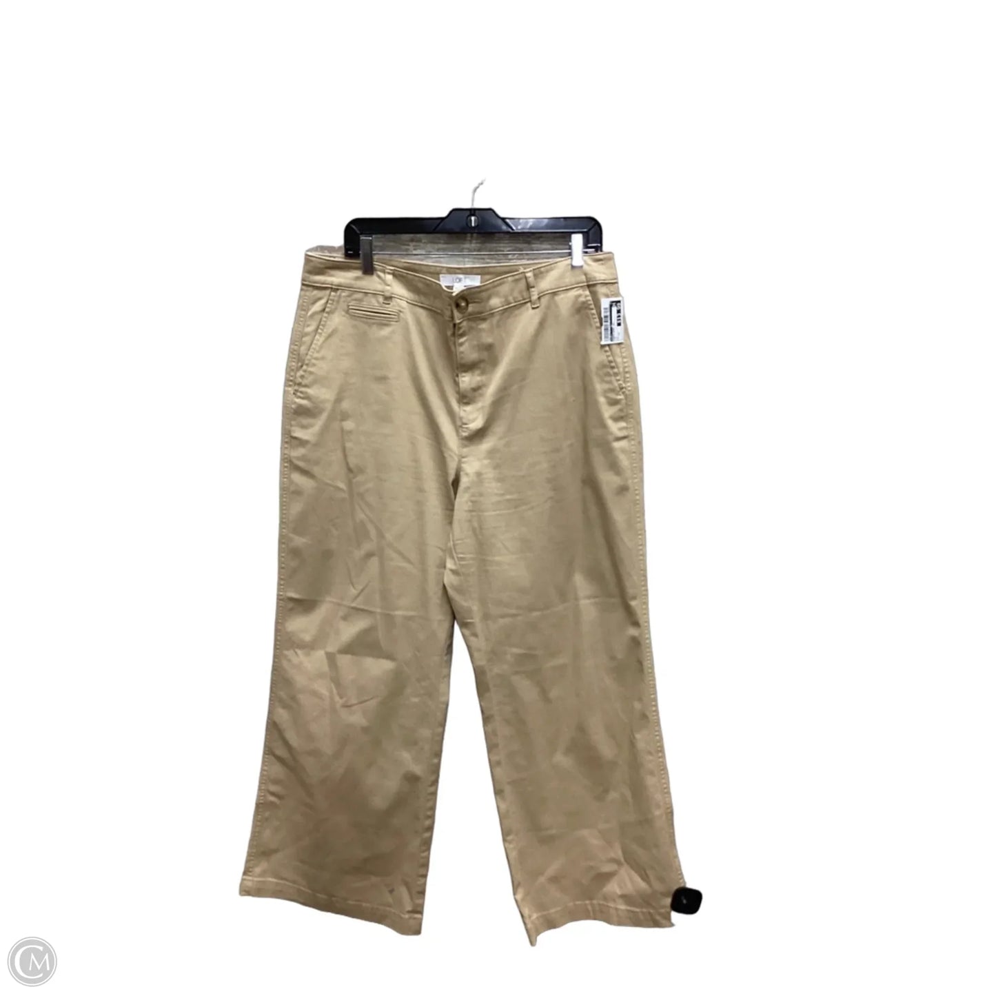 Pants Wide Leg By Loft In Tan, Size: 14