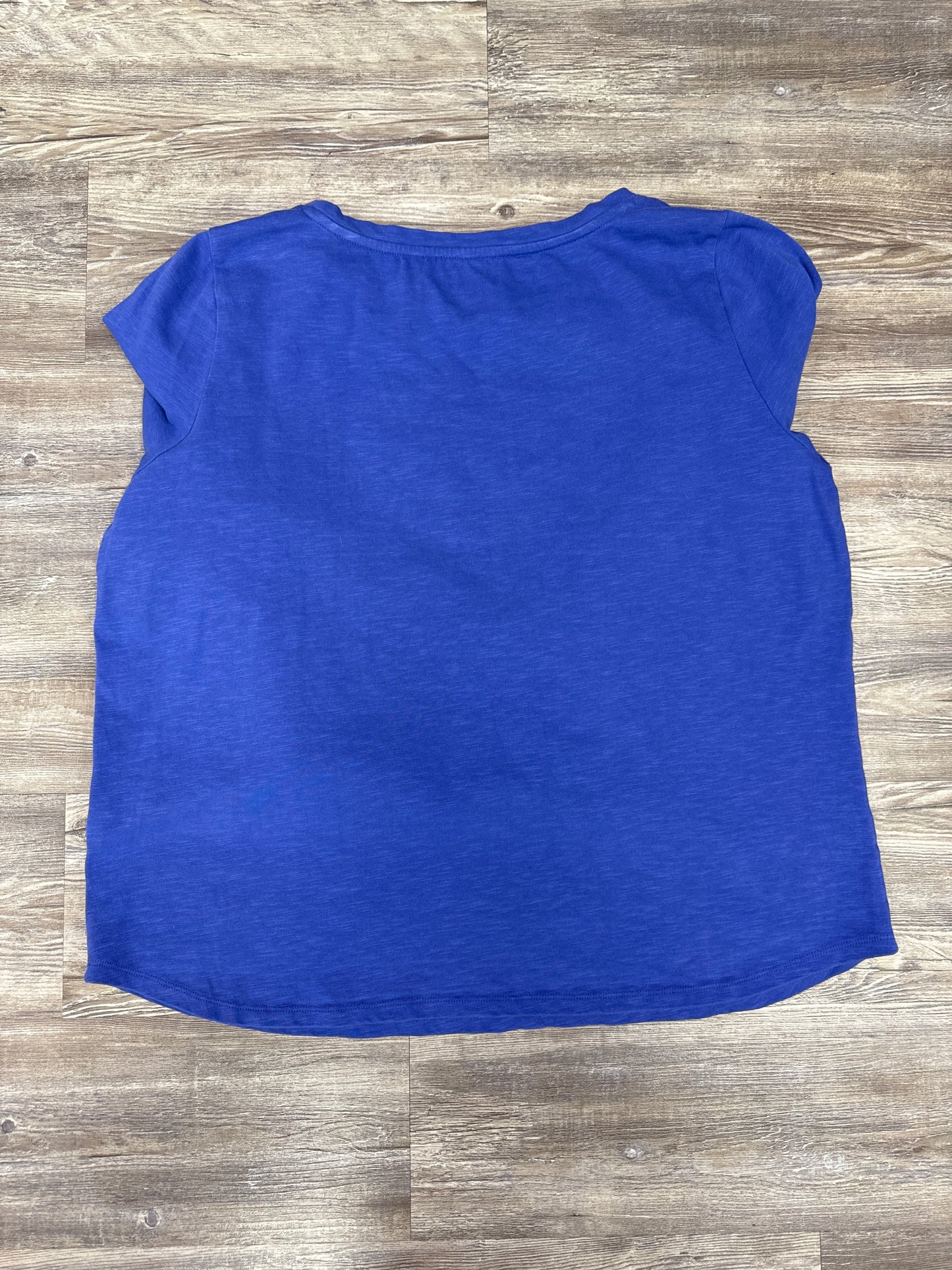 Top Long Sleeve By Talbots In Blue, Size: 2x