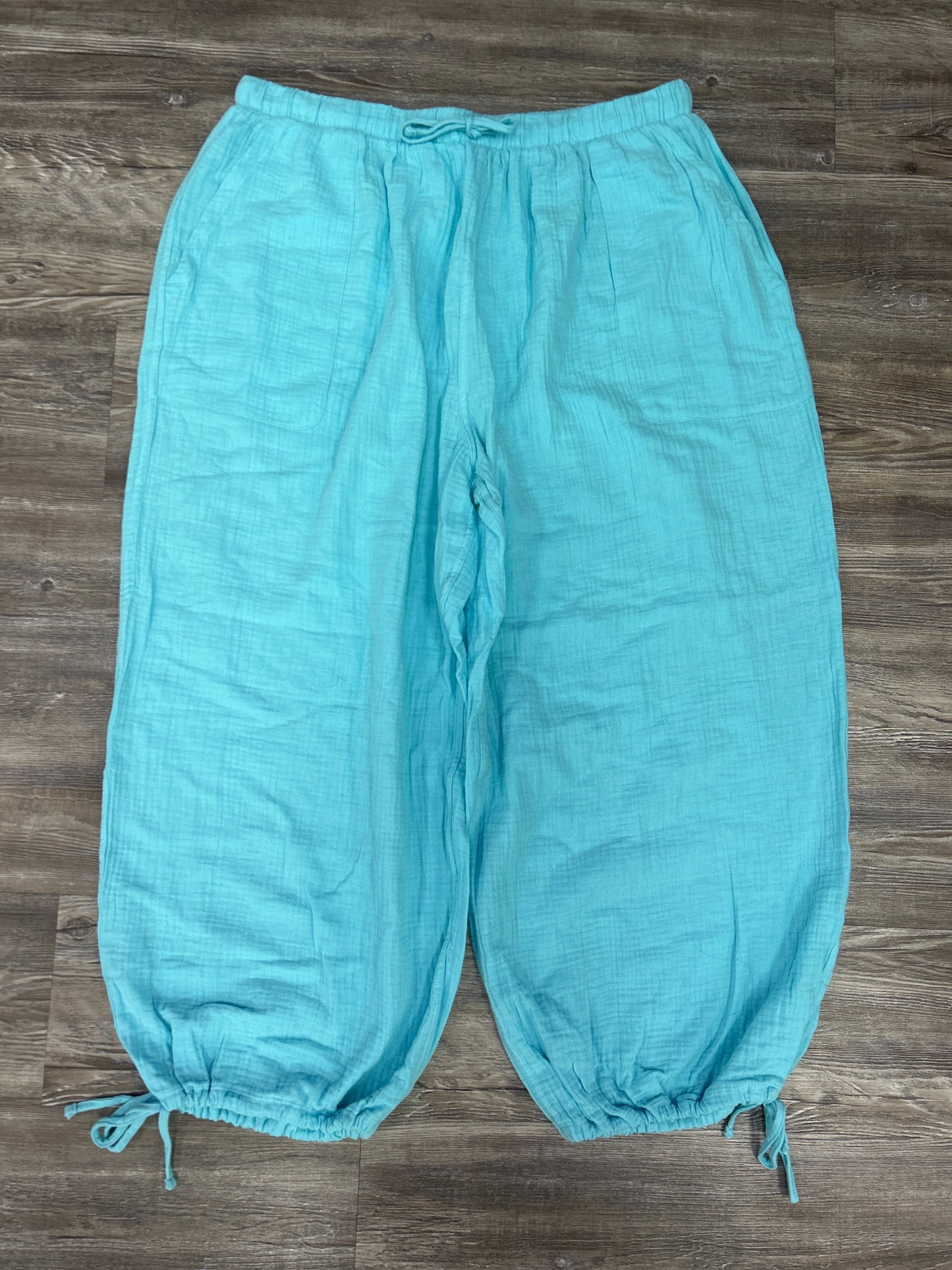 Pants Lounge By Colsie In Blue, Size: L