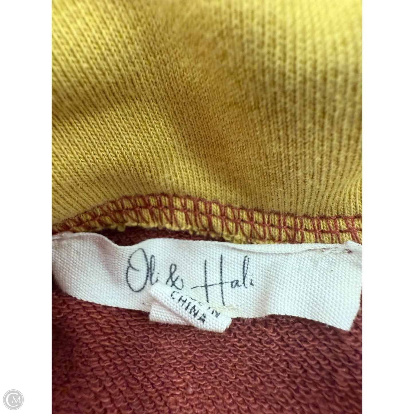 Sweatshirt Hoodie By Oli & Hali In Orange & Yellow, Size: S