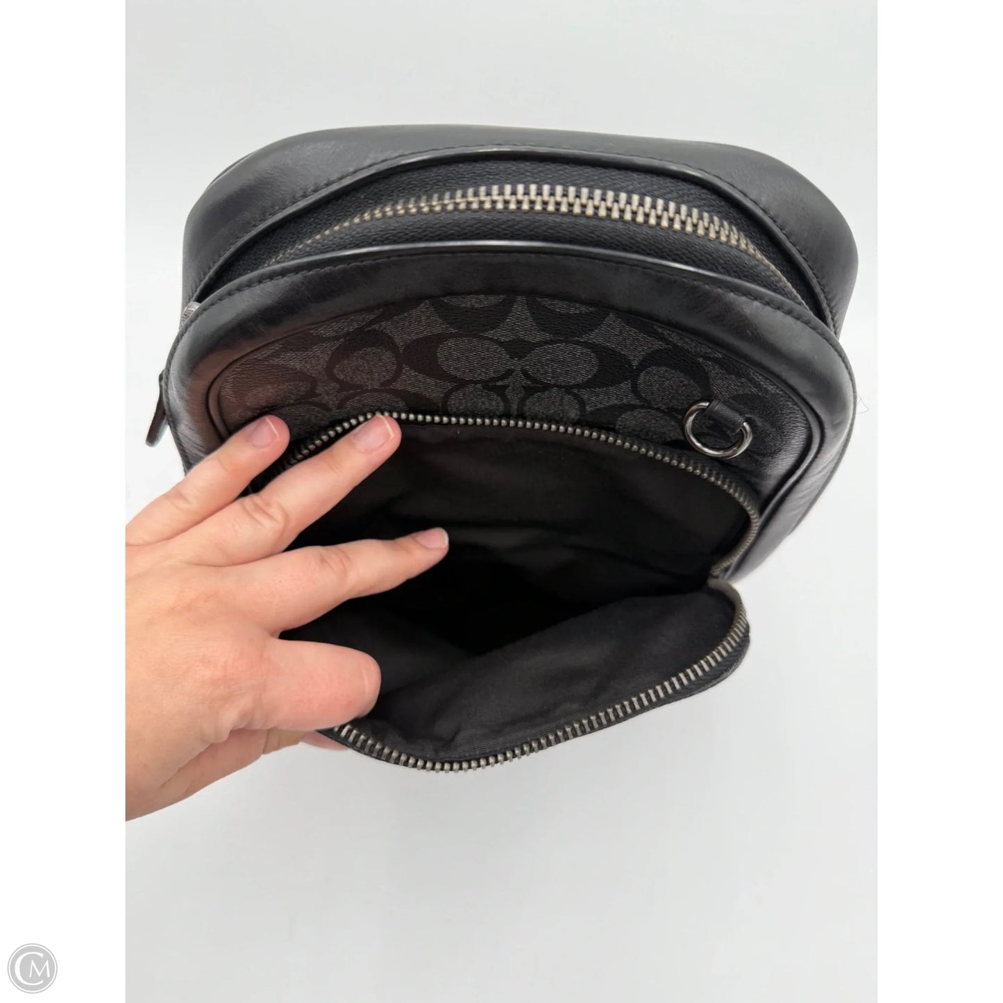 Belt Bag Designer By Coach, Size: Large