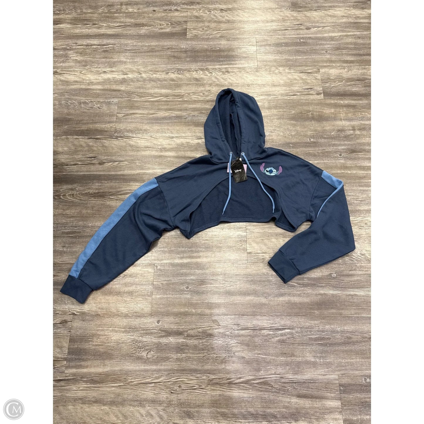 Sweatshirt Hoodie By Disney In Blue, Size: 1x