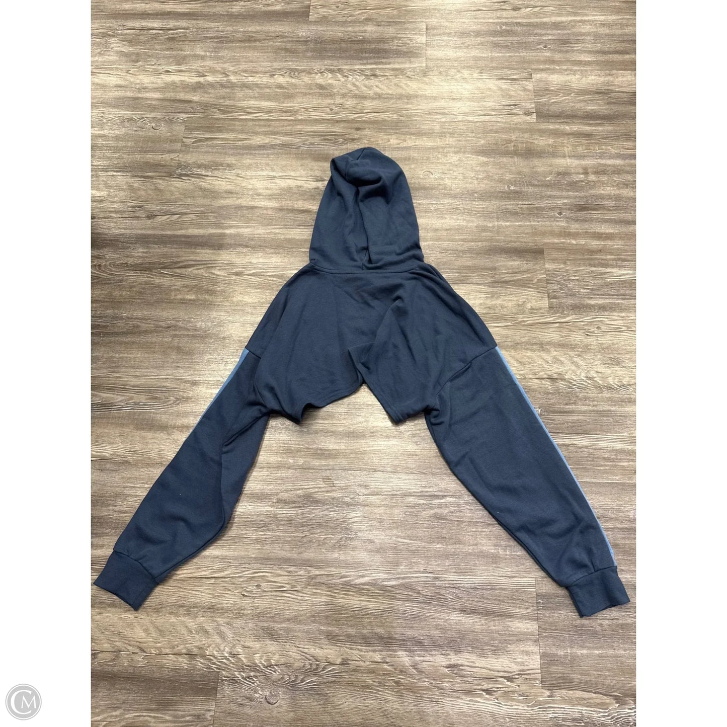 Sweatshirt Hoodie By Disney In Blue, Size: 1x