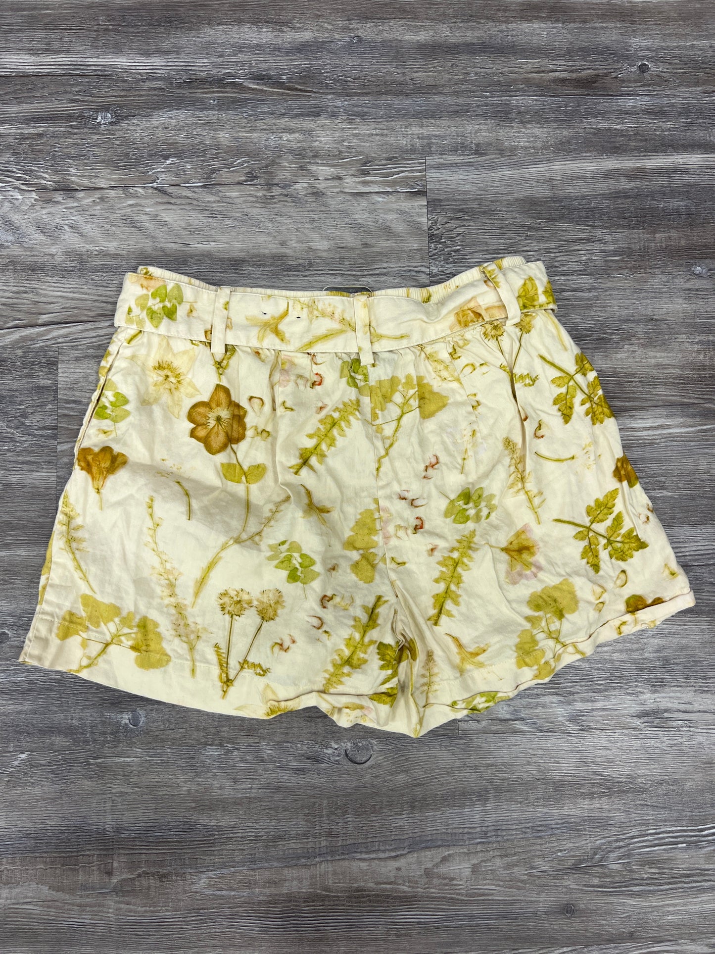 Cream & Green Shorts International Concepts, Size M