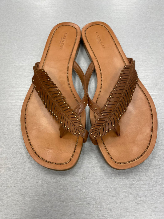 Brown Sandals Flip Flops Coach, Size 8.5