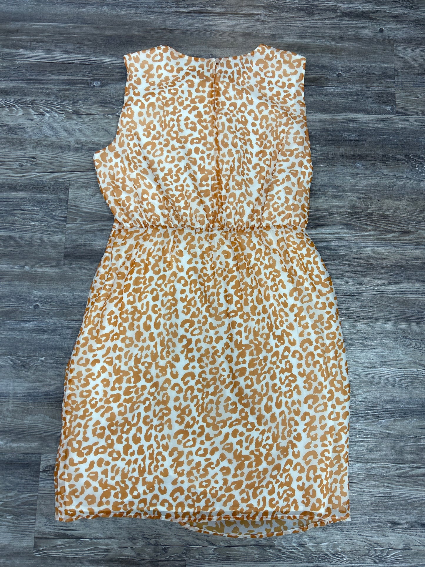 Dress Designer By Sam Edelman In Animal Print, Size: L