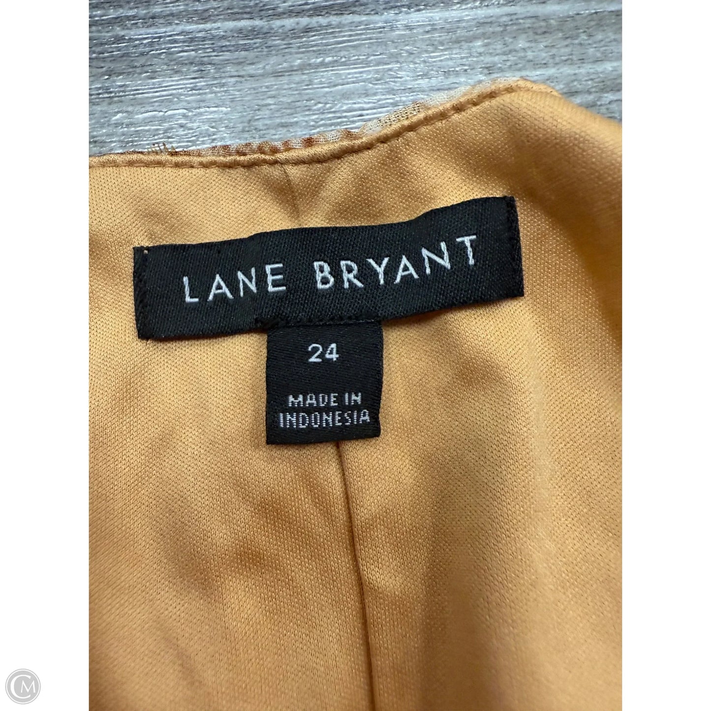 Dress Casual Short By Lane Bryant In Snakeskin Print, Size: 24