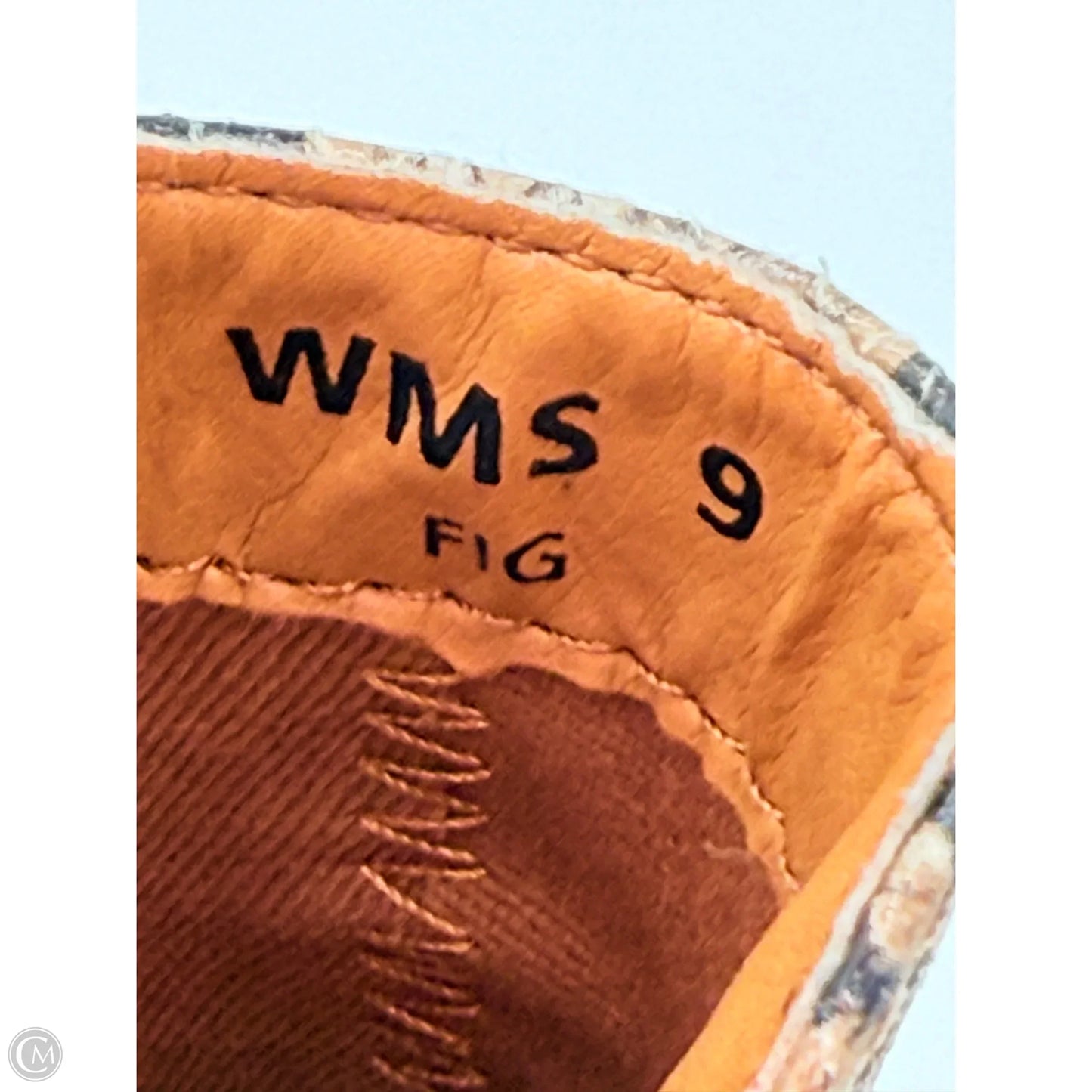 Boots Ankle Heels By Dolce Vita In Snakeskin Print, Size: 9