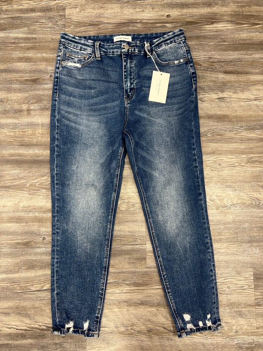 Blue Denim Jeans Skinny Flying Monkey, Size 14petite