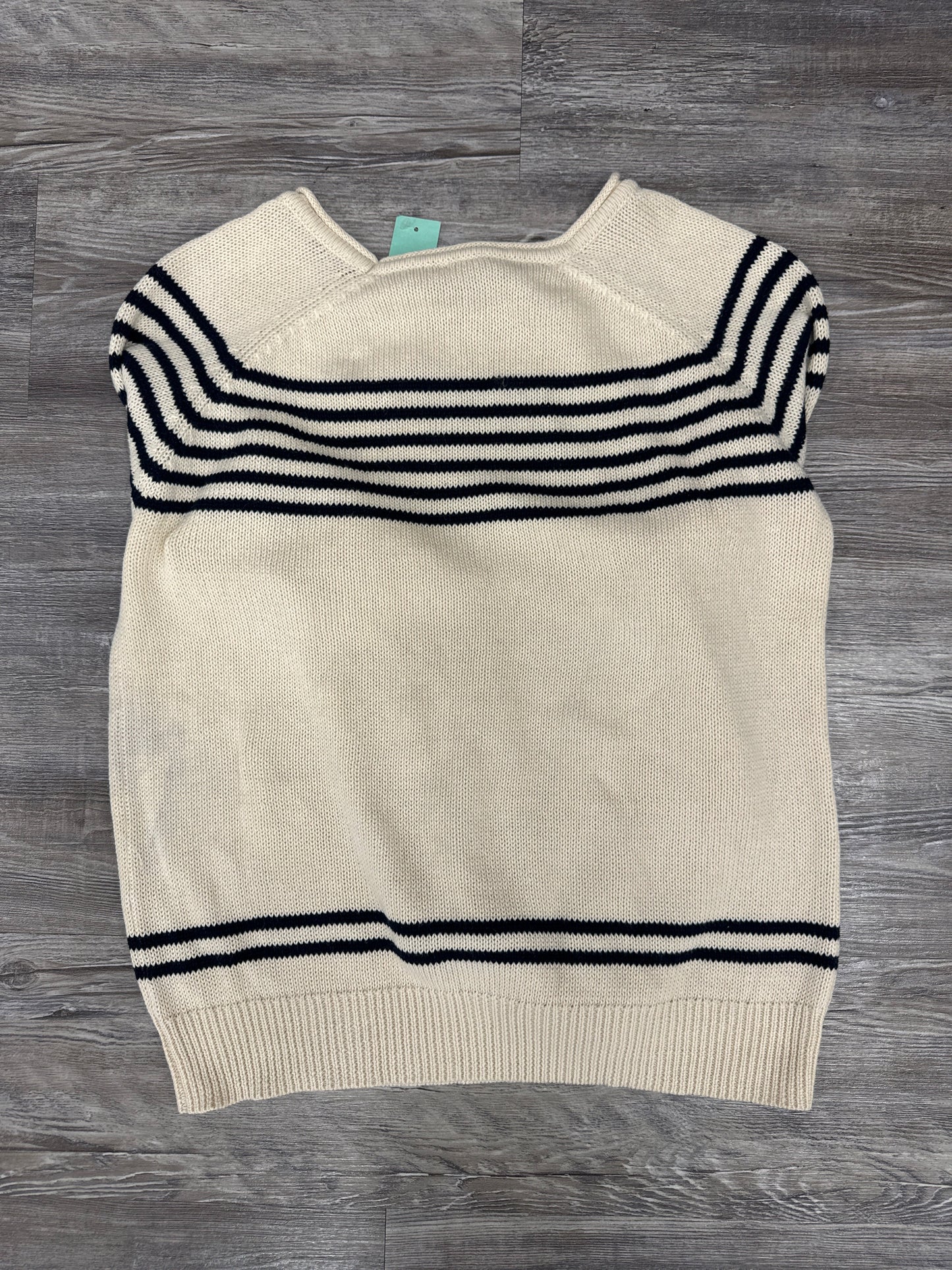 Sweater By Market & Spruce In Blue & Tan, Size: L