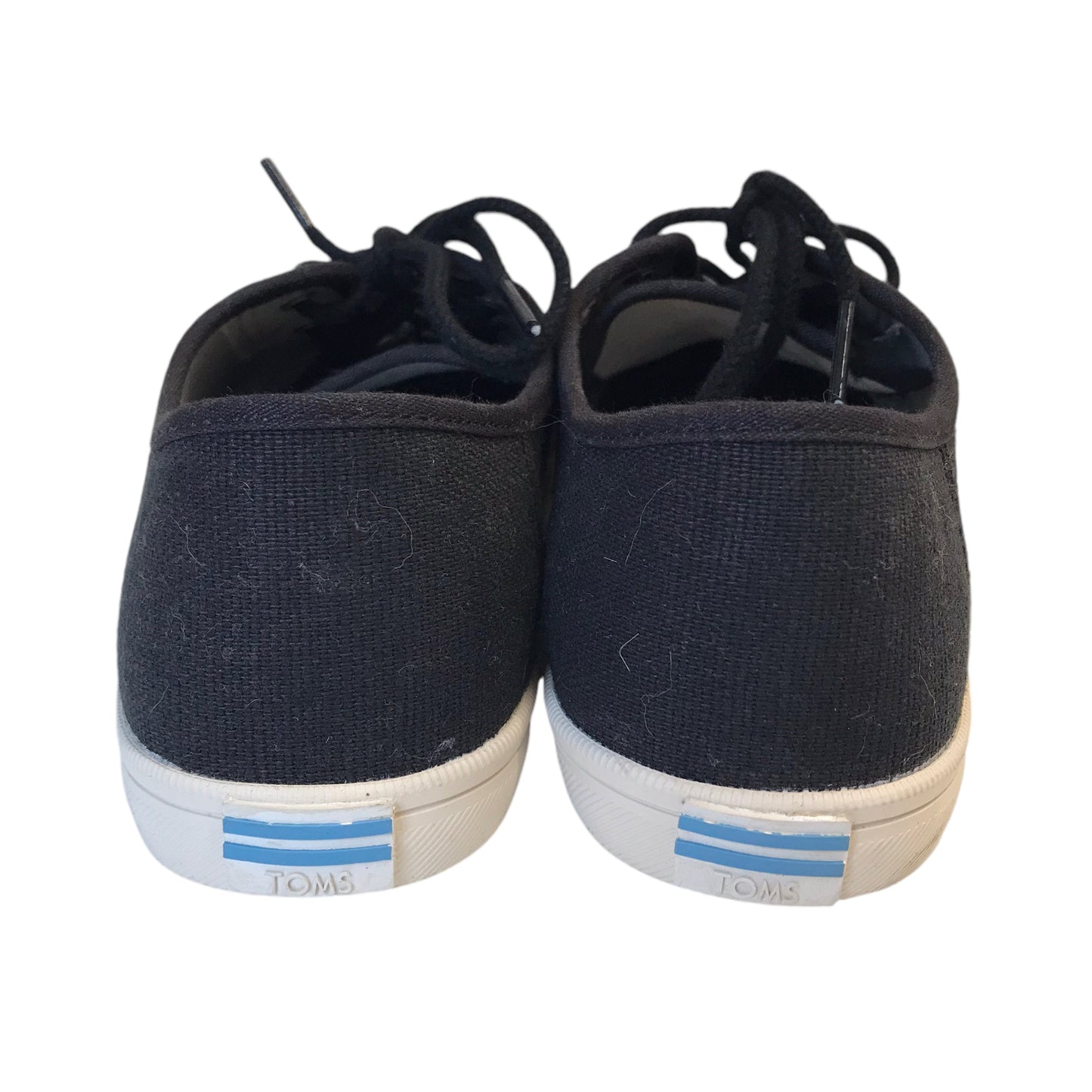 Shoes Sneakers By Toms In Black, Size:8