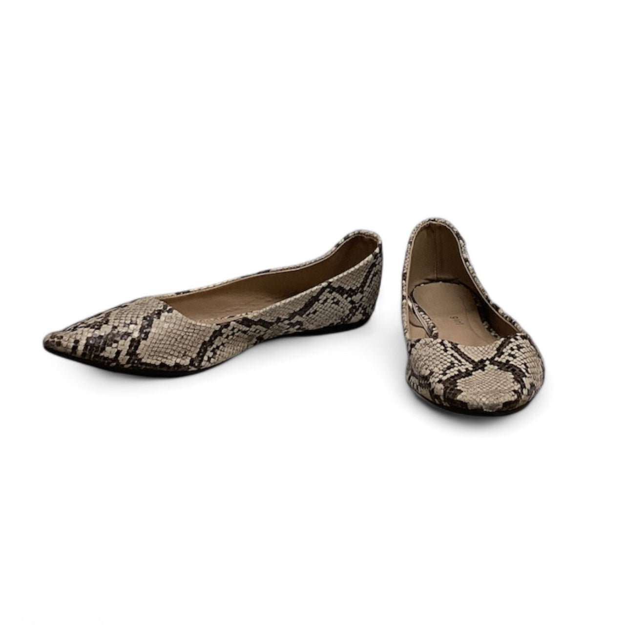 Shoes Flats By Madden Girl In Snakeskin Print, Size: 7