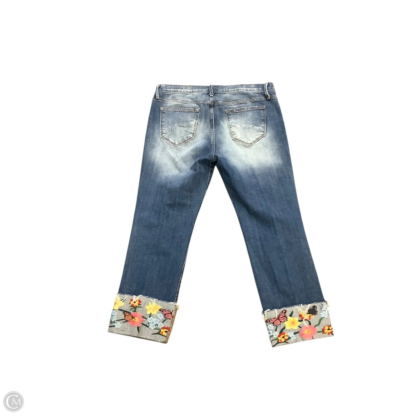 Jeans Skinny By Driftwood In Blue, Size: 14 (32)