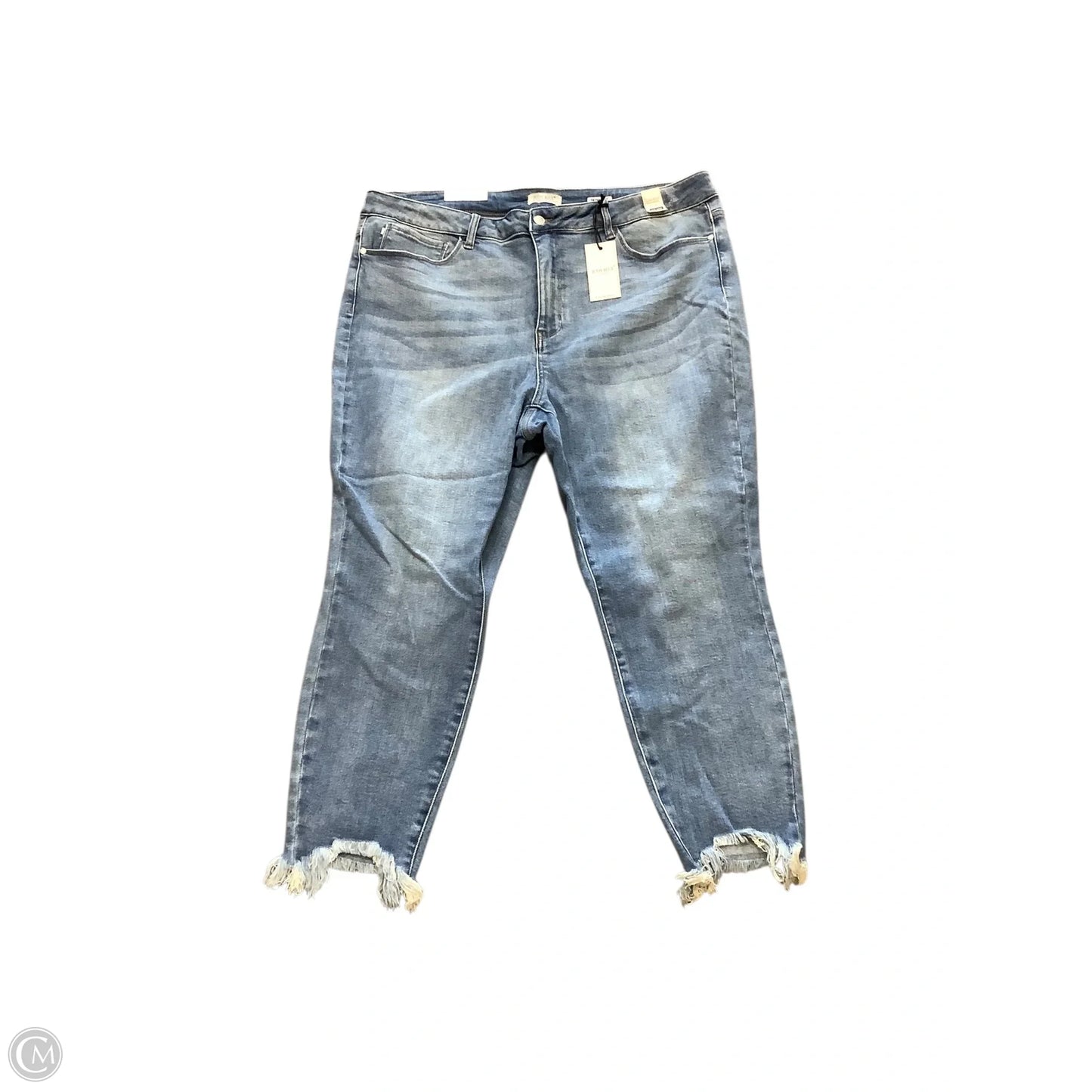 Jeans Skinny By Judy Blue In Blue Denim, Size: 22