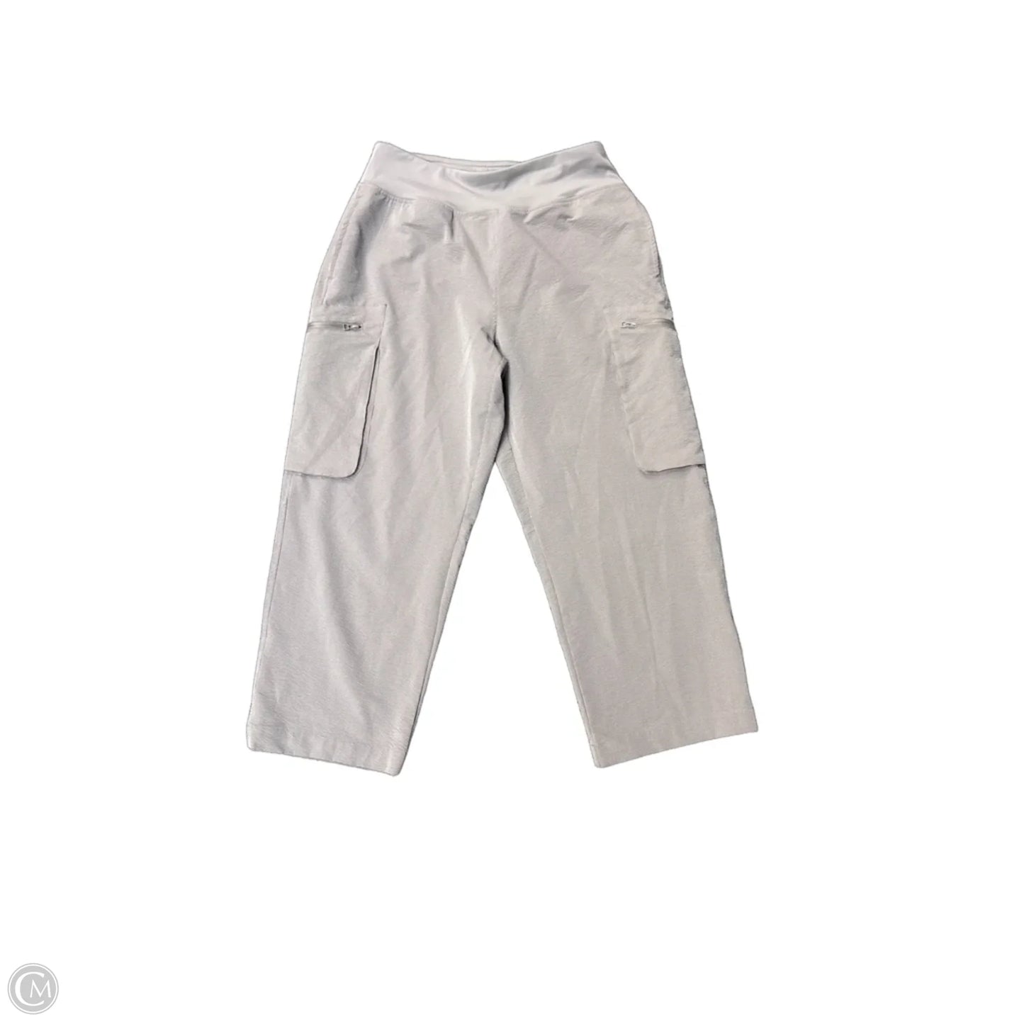 Pants Other By Sage In Grey, Size: M