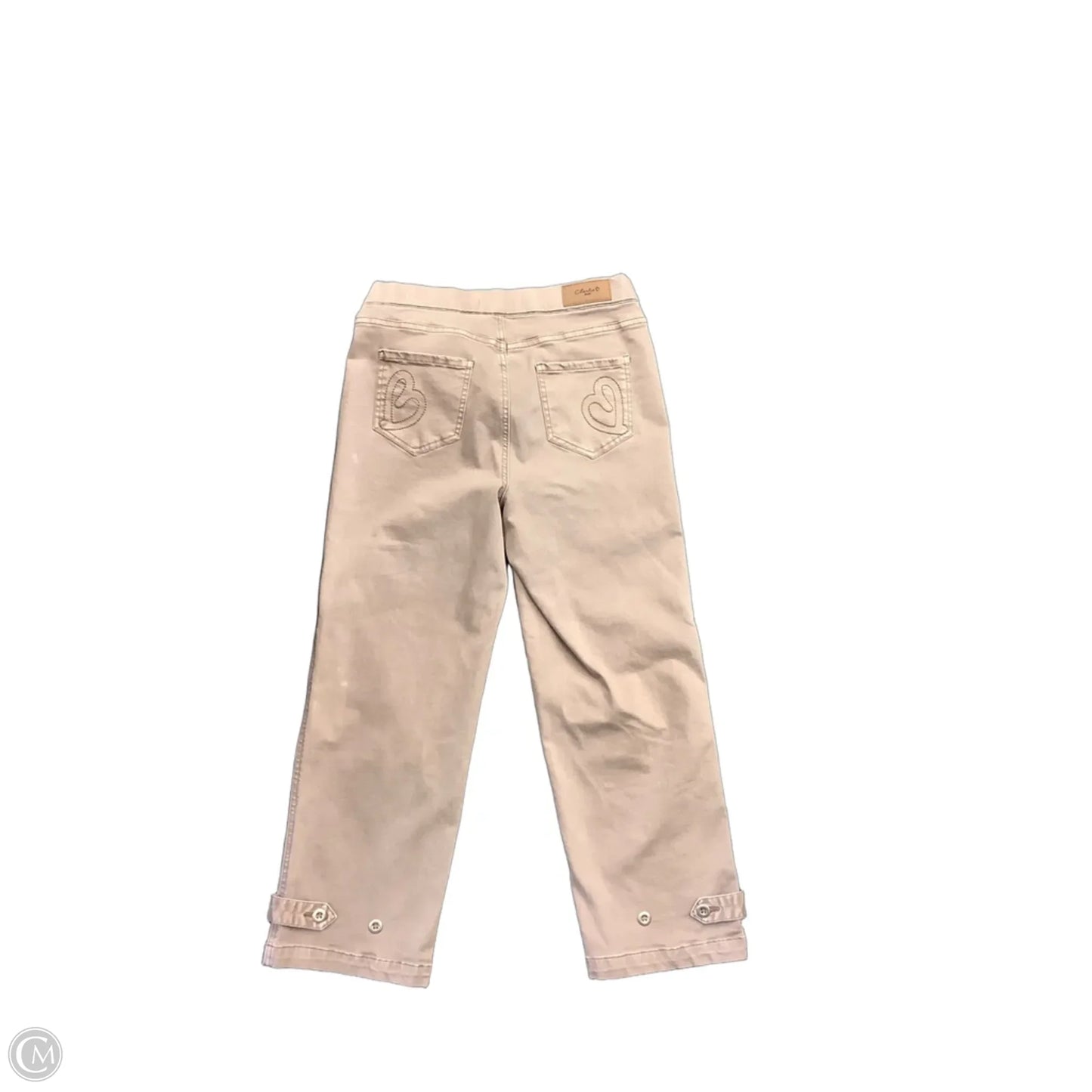Pants Cargo & Utility By Charlie B In Brown, Size: 6