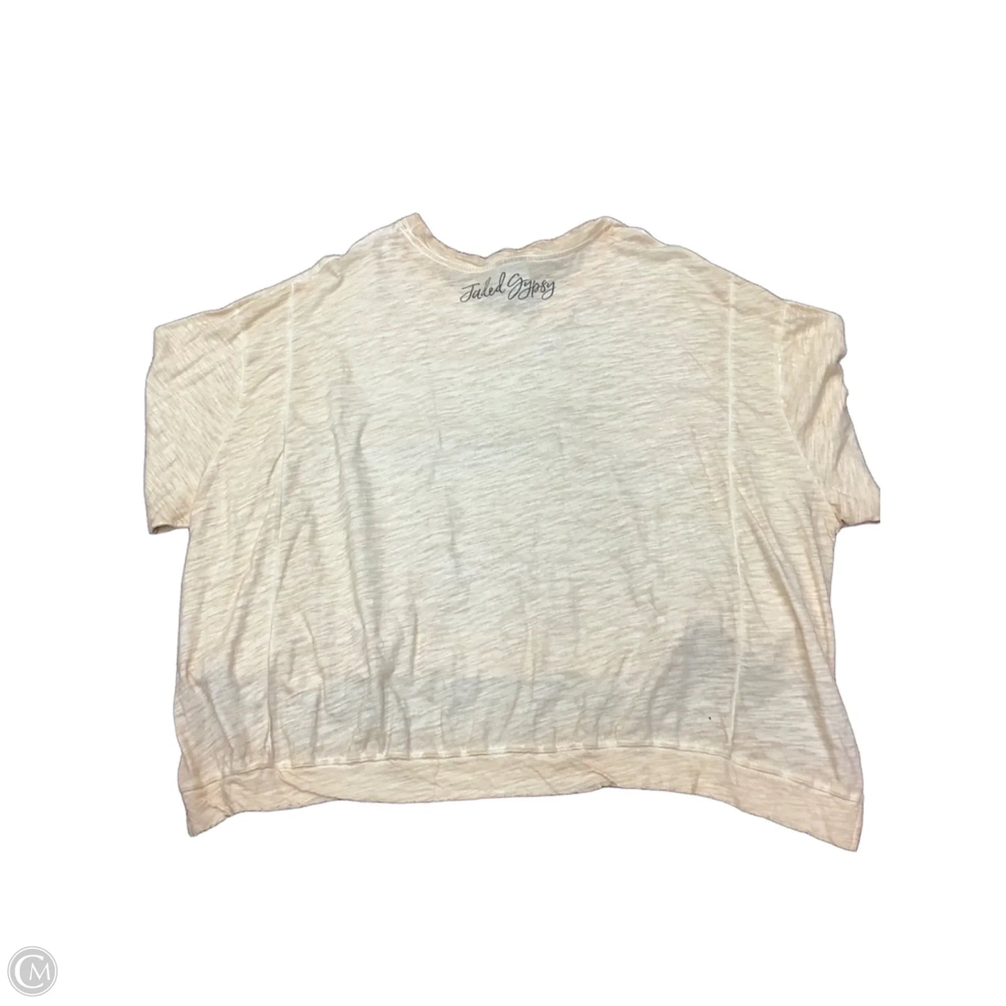 Top Long Sleeve By Clothes Mentor In Tan, Size: L