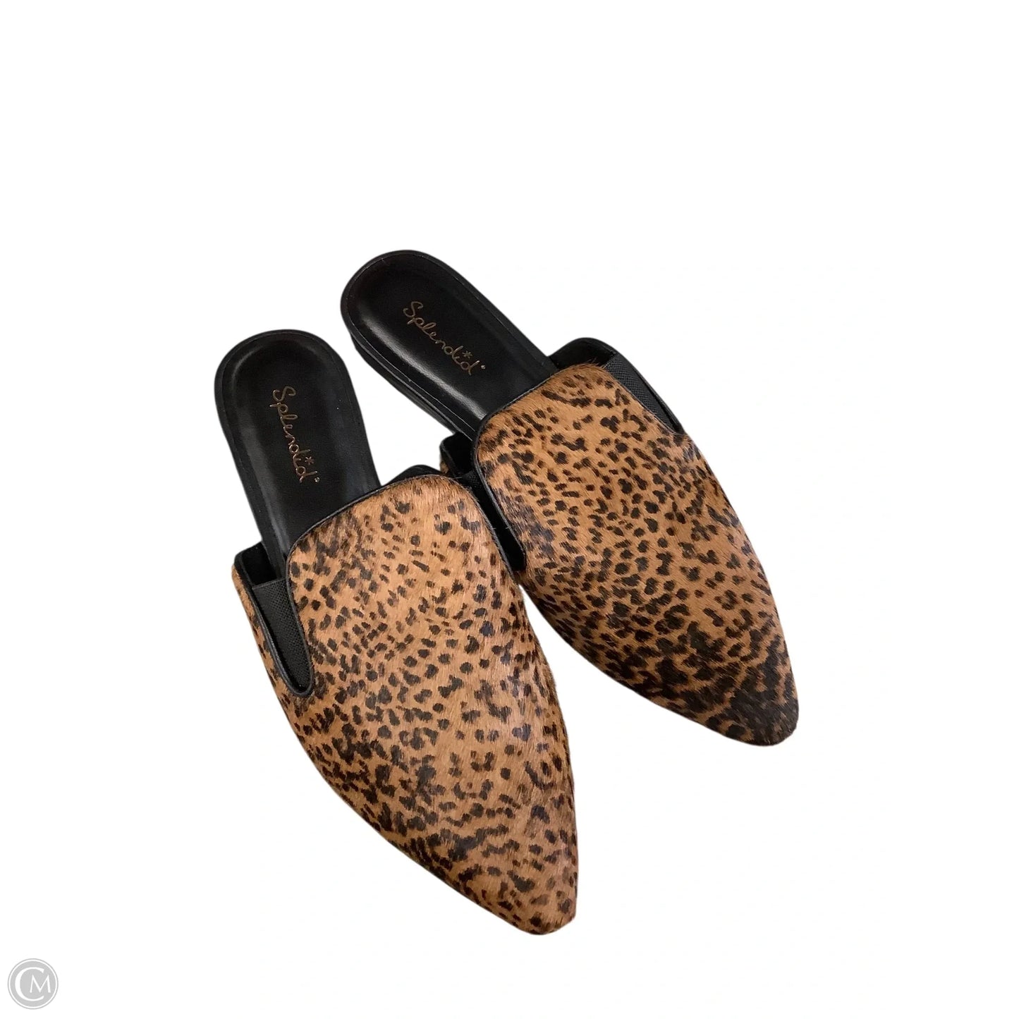 Shoes Flats By Splendid In Animal Print, Size: 7.5