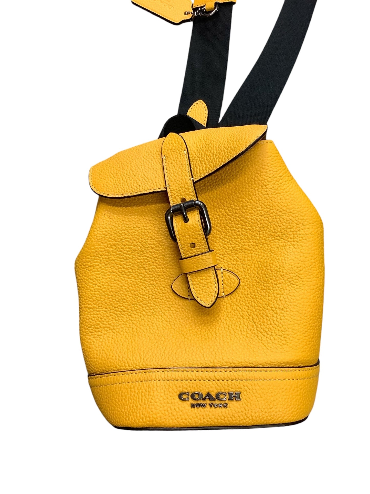 Backpack Designer By Coach, Size: Medium