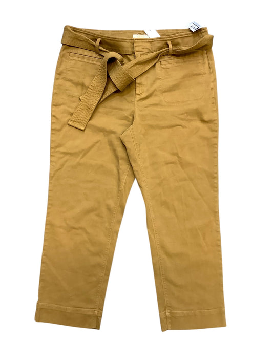 Pants Cargo & Utility By Loft In Brown, Size: 14