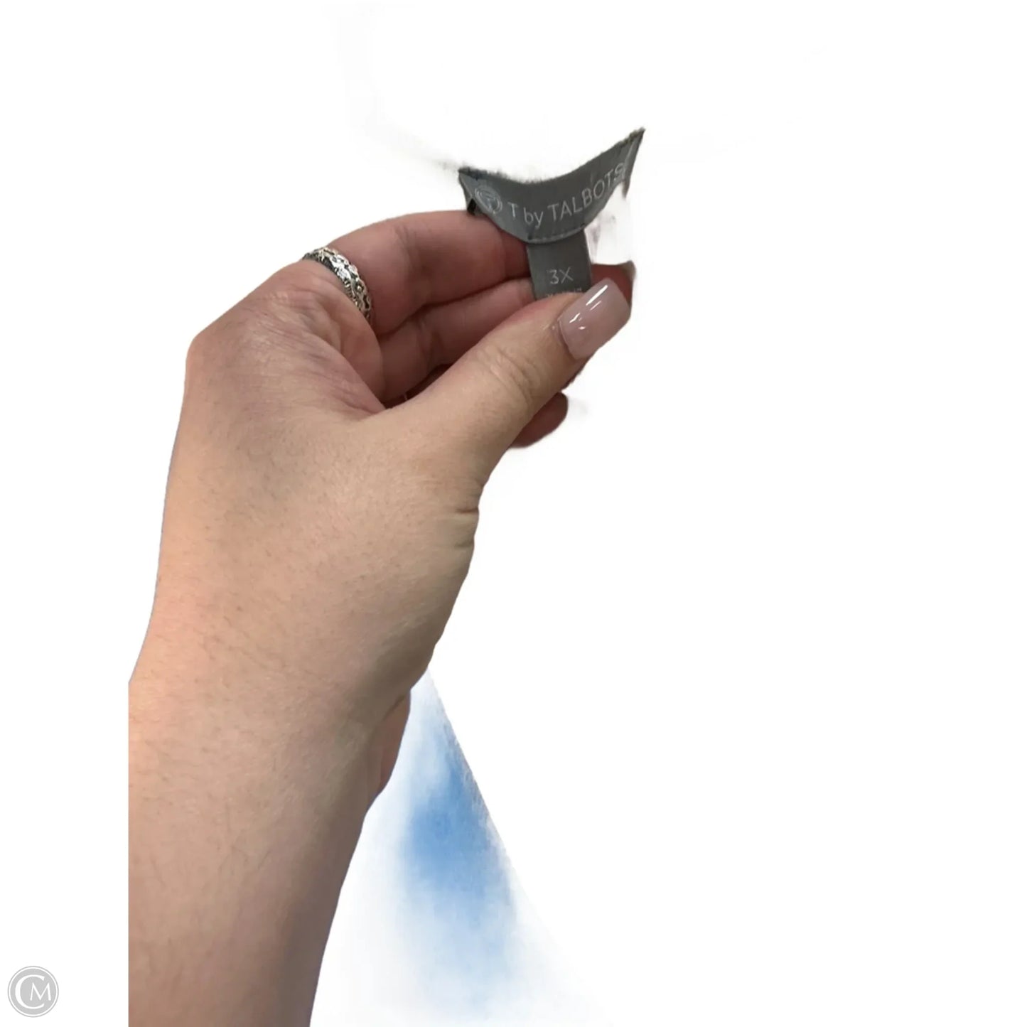 Sweatshirt Collar By Talbots In Blue, Size: 26