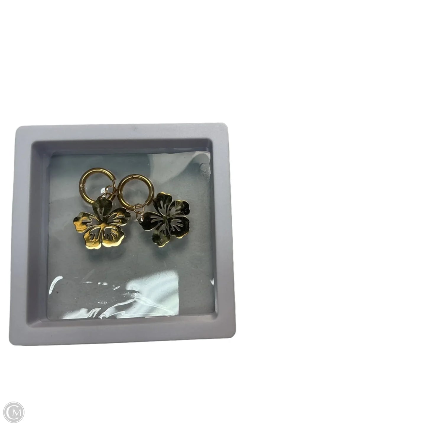 Earrings Dangle/drop By Clothes Mentor