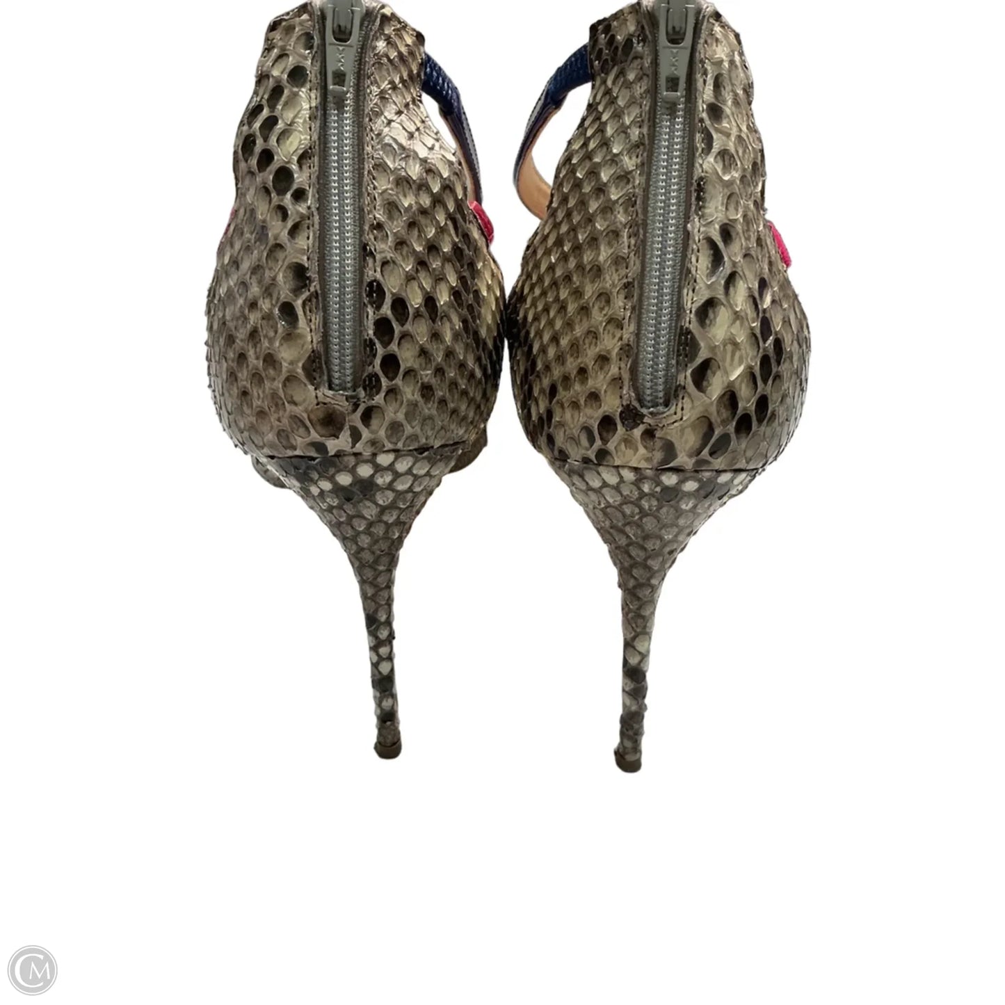 Shoes Luxury Designer By Christian Louboutin In Snakeskin Print, Size: 9
