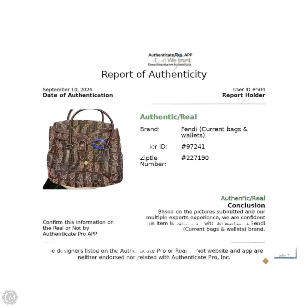 Handbag Luxury Designer By Fendi, Size: Medium