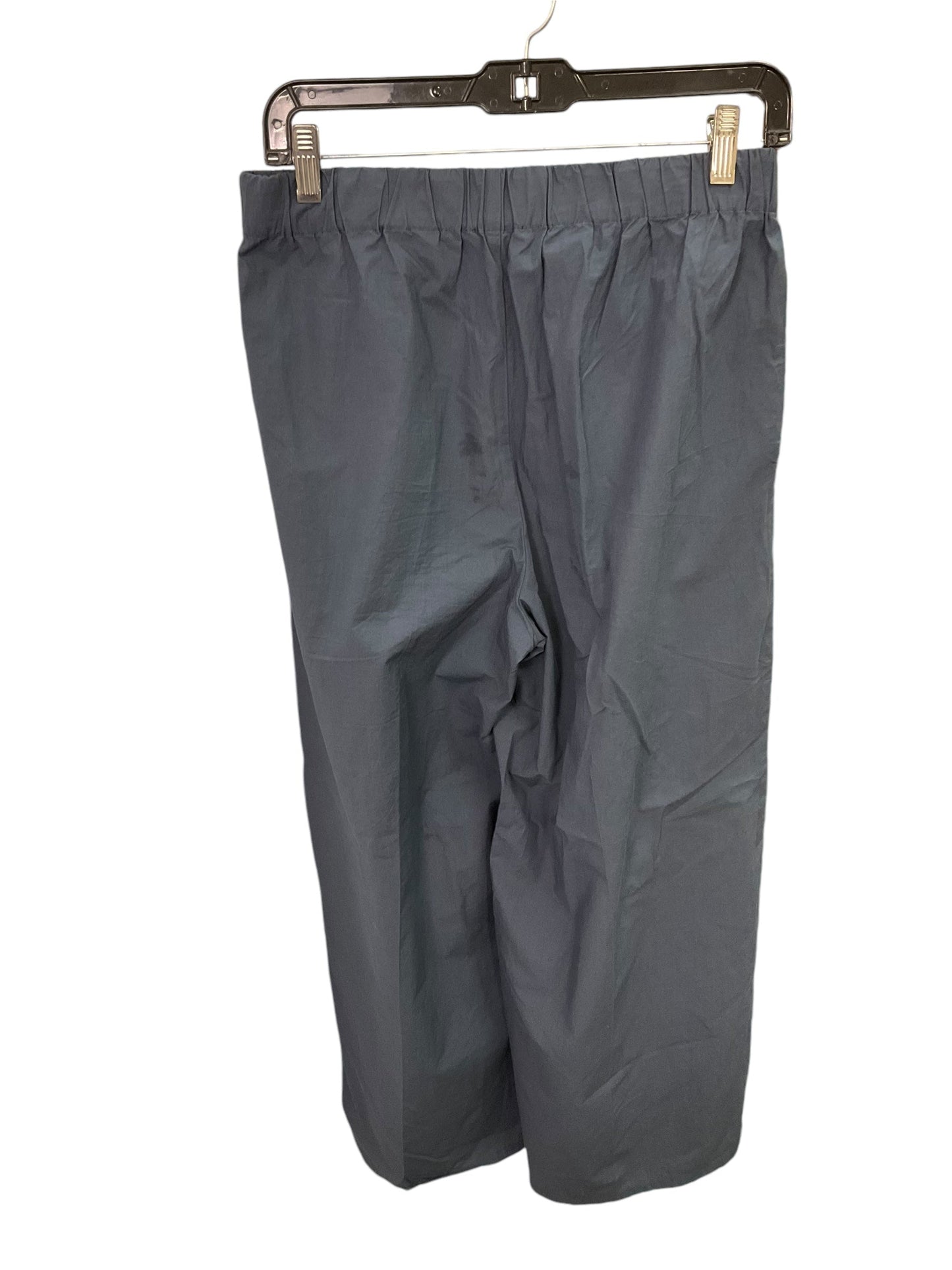 Pants Linen By Eileen Fisher In Blue, Size: Xs