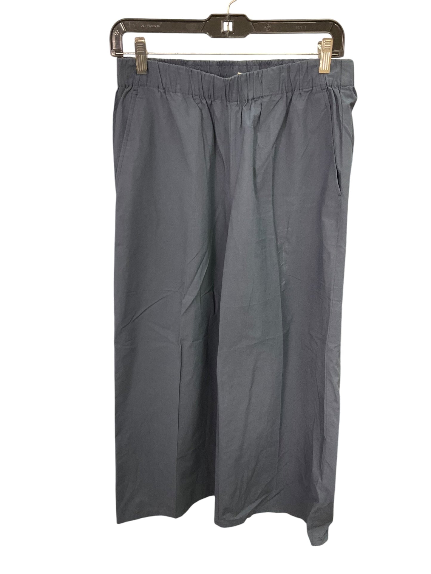 Pants Linen By Eileen Fisher In Blue, Size: Xs