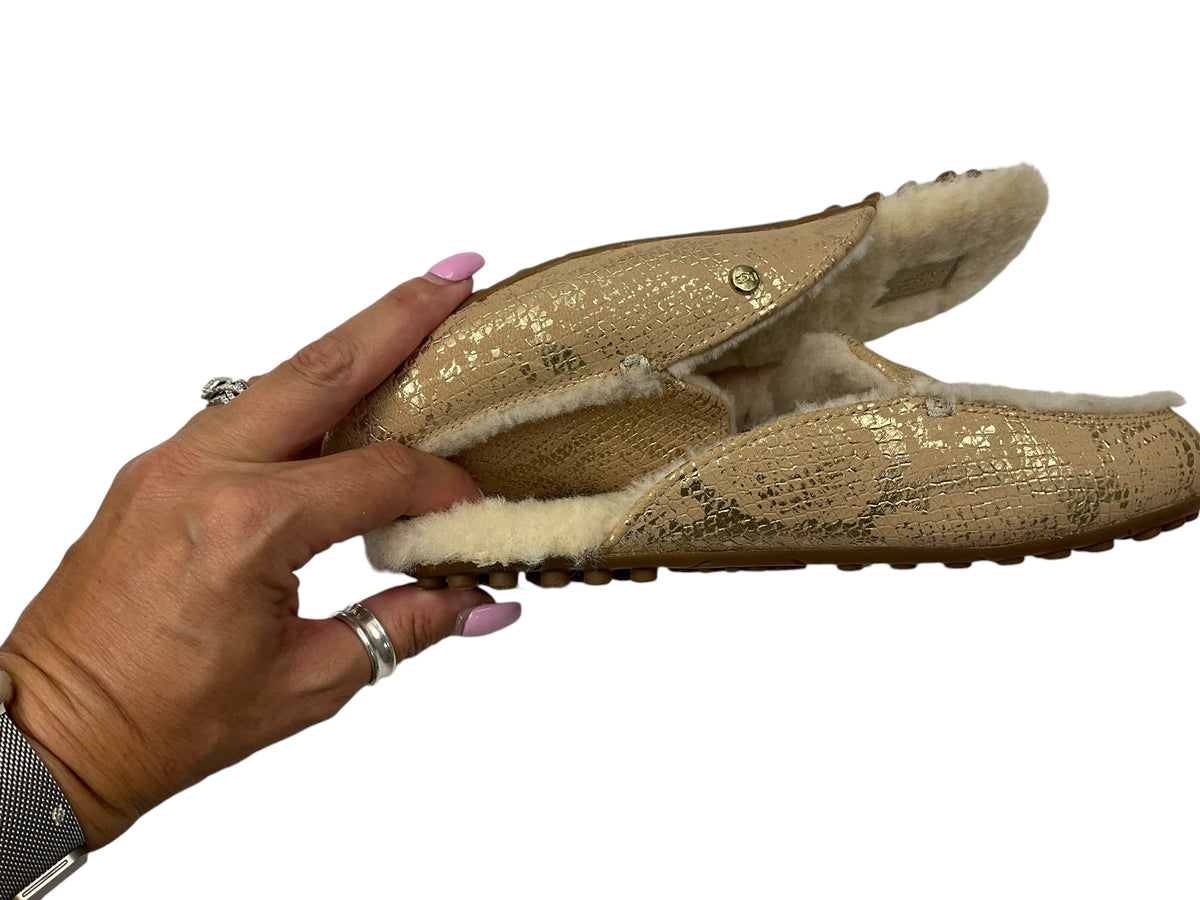 Slippers By Ugg In Snakeskin Print, Size: 6